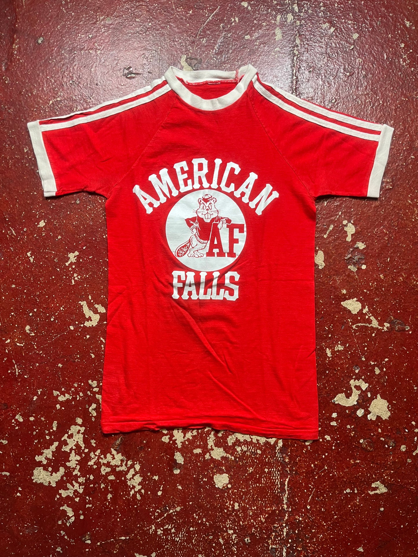 70s/80s American Falls Tee