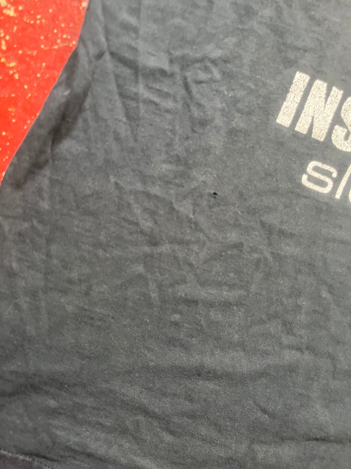 90s/00s Insatiable Tee