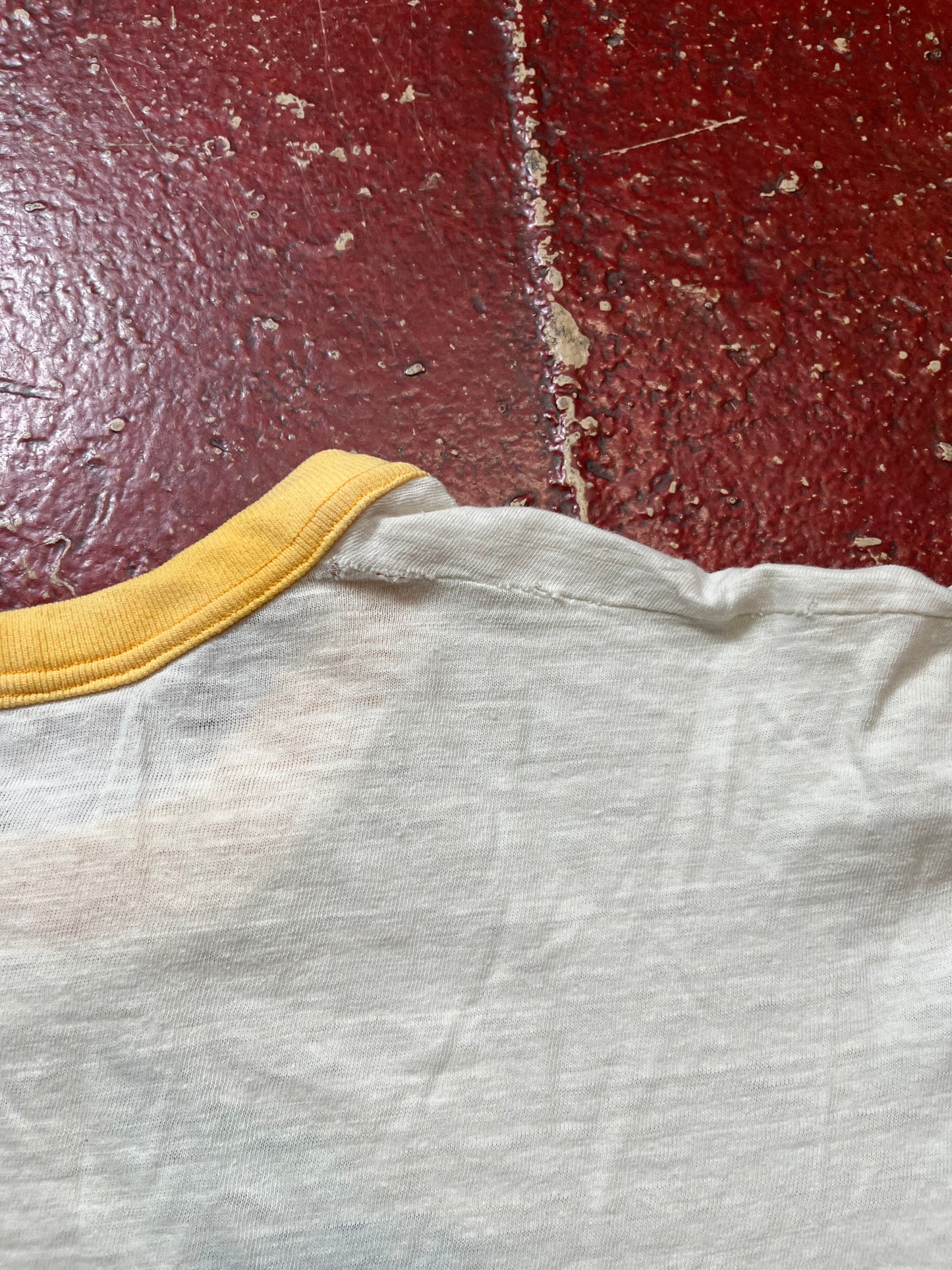 60s/70s Thoreal Hawks Flock Ringer Tee