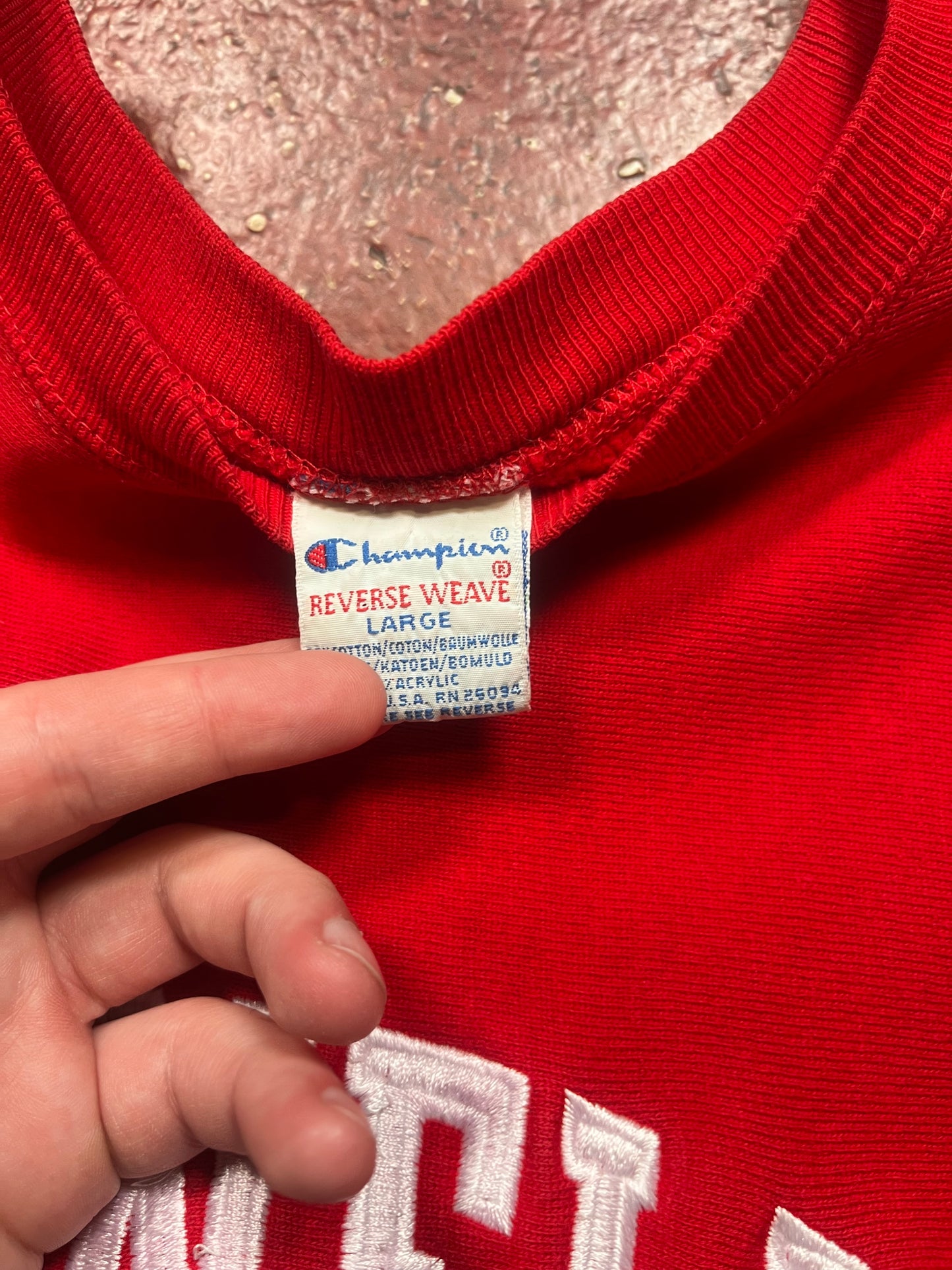 90s Champion Reverse Weave Cornell Crewneck