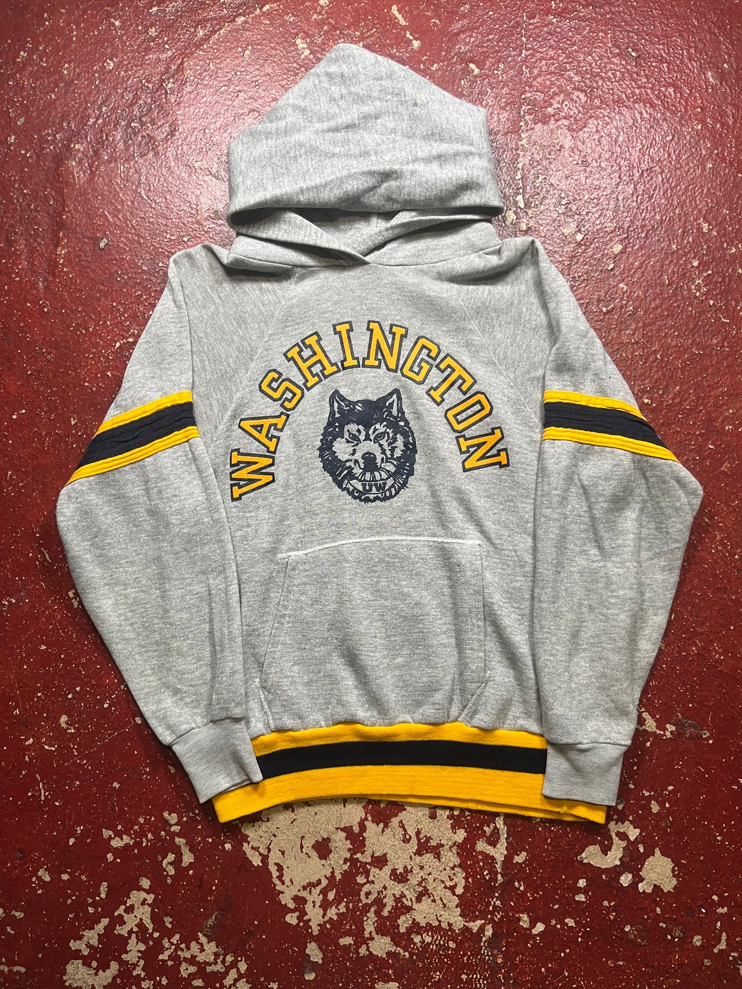 80s Champion Washington Huskies Hoodie