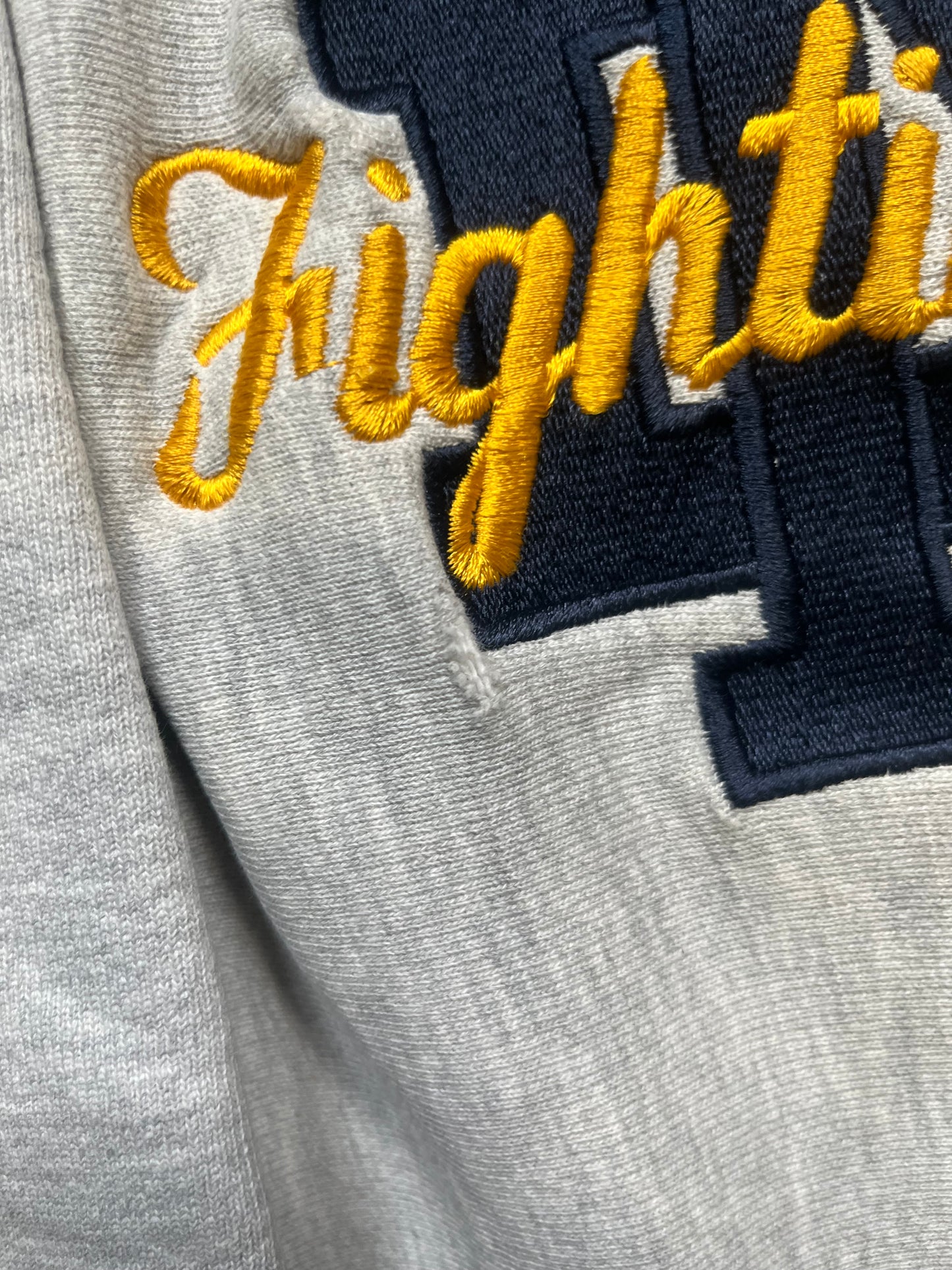 90s Champion Reverse Weave Norte Dame Crewneck