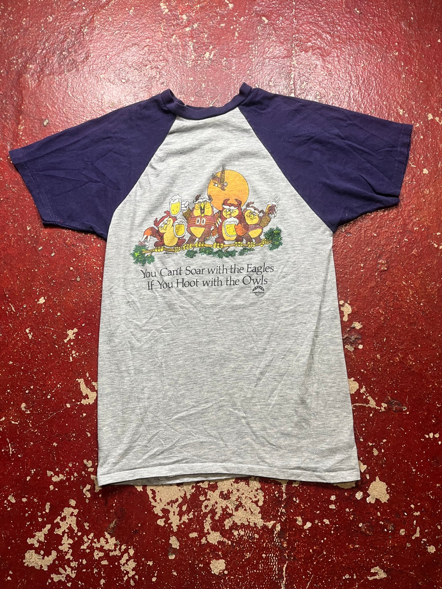 1980 Hoot With The Owls Tee
