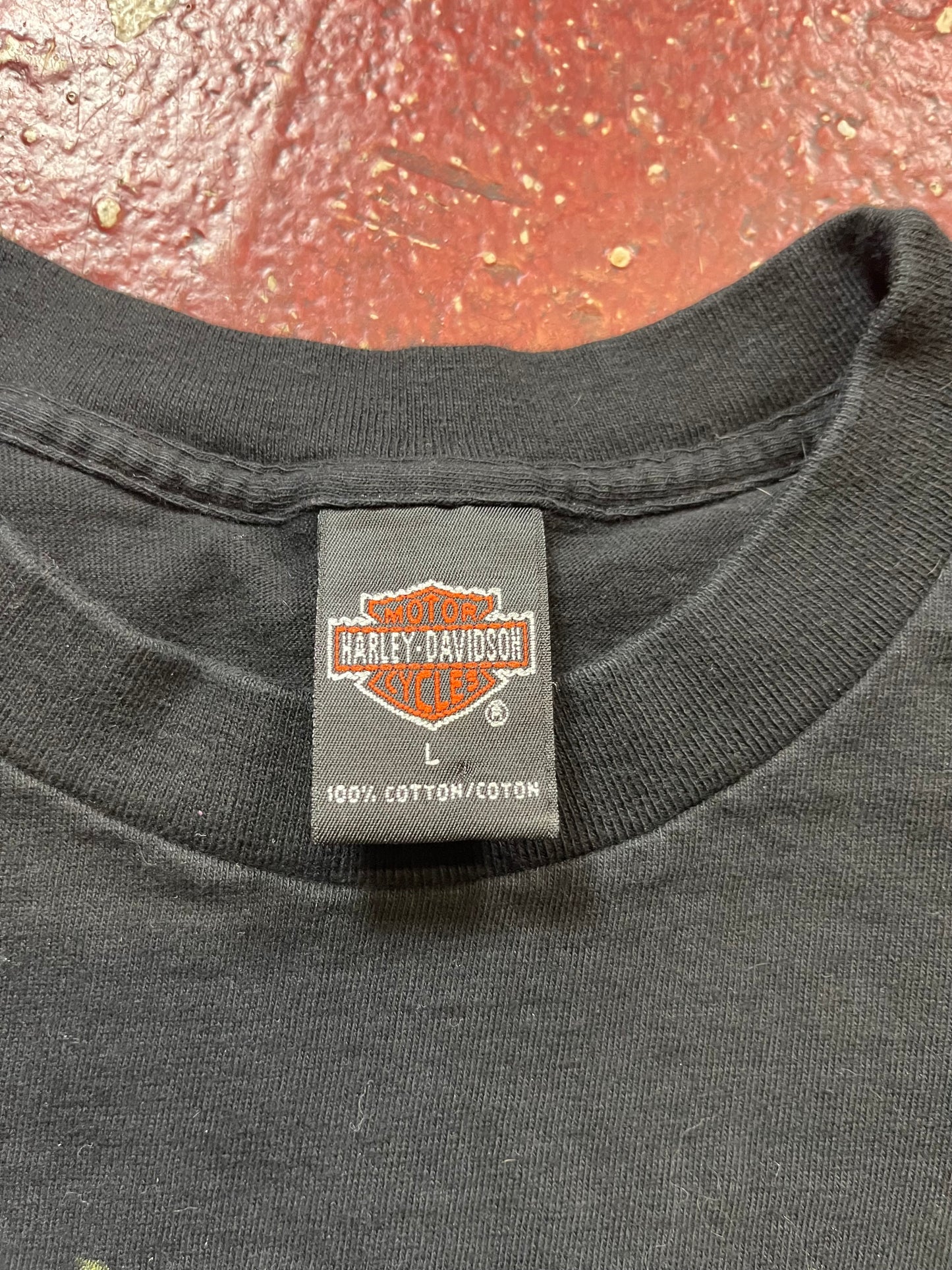 1998 Harley Davidson “Boise” Tee