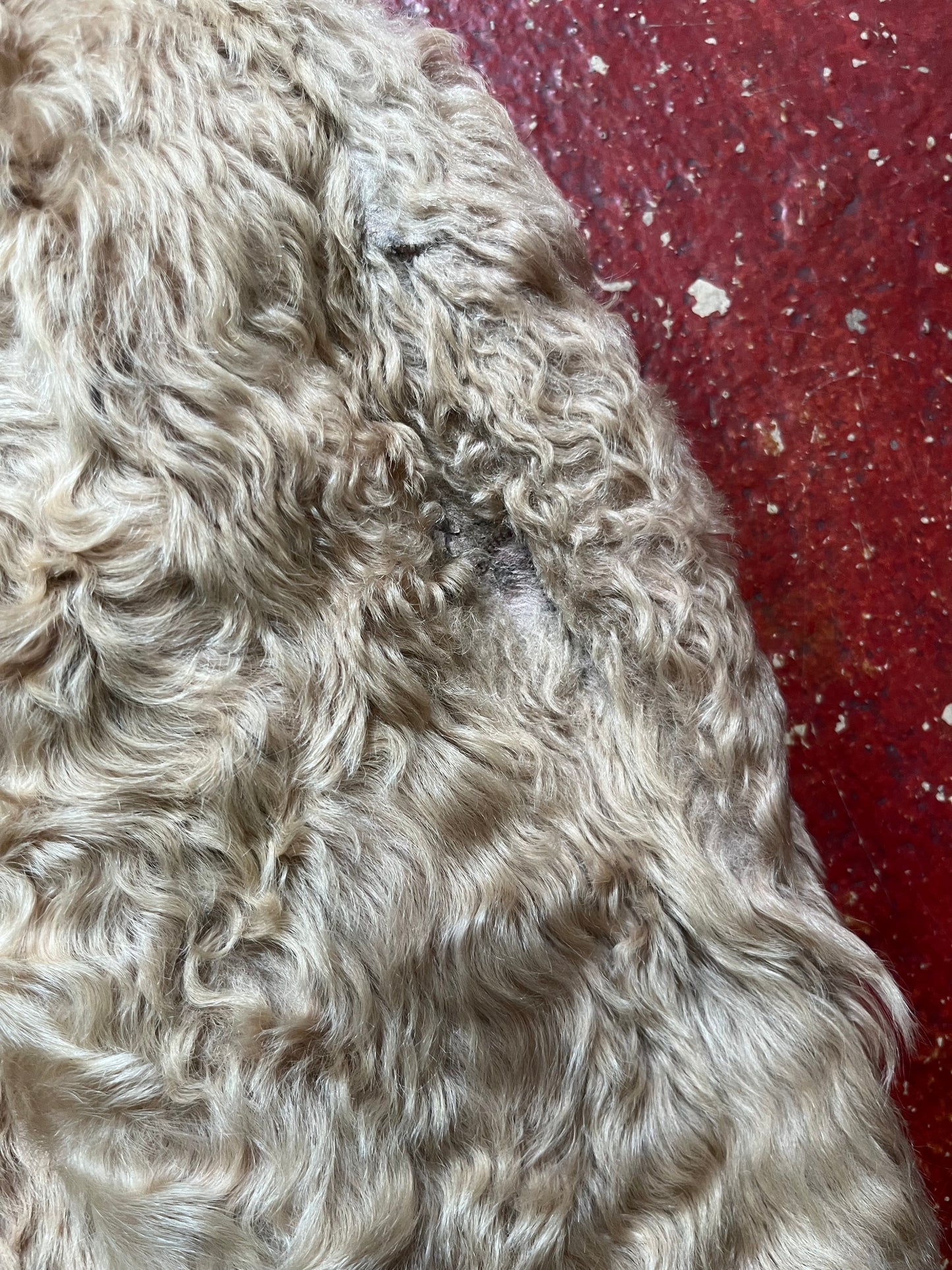 60s Wolfgang Henneberg Fur Jacket