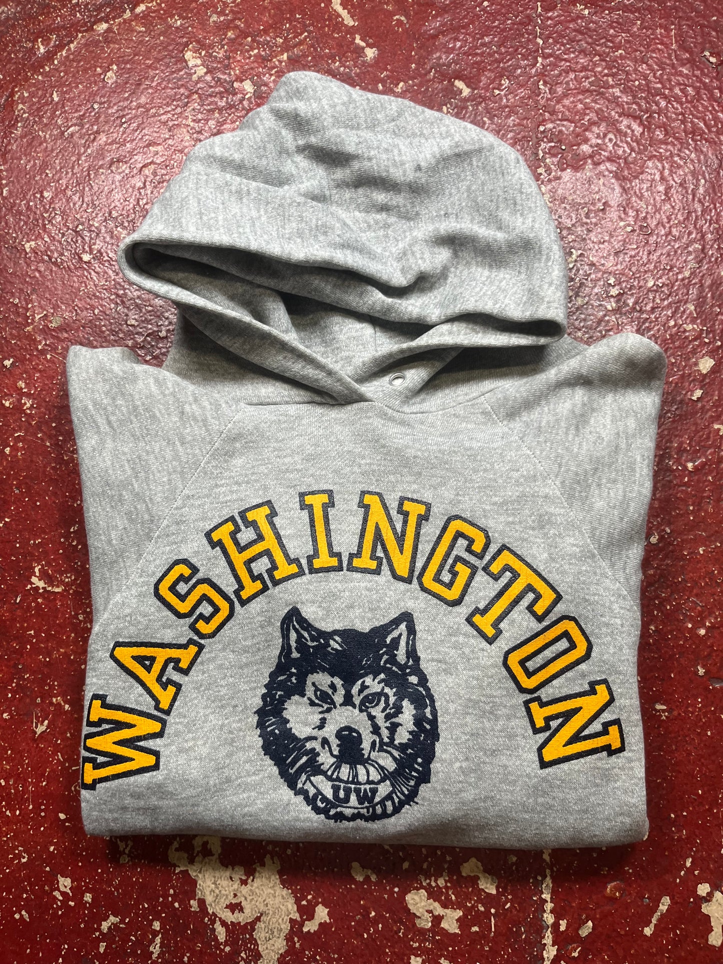 80s Champion Washington Huskies Hoodie