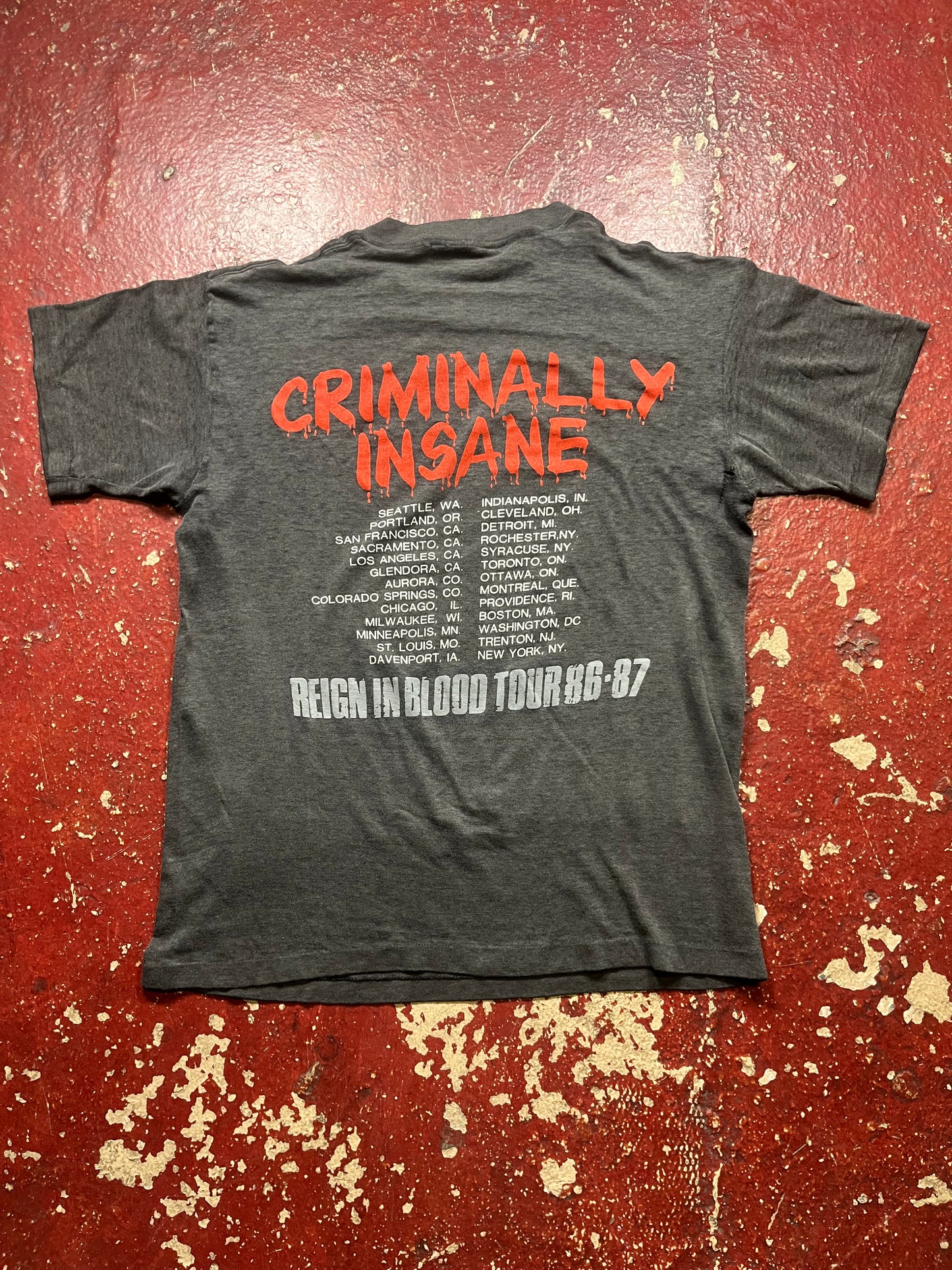 1987 Slayer “Criminally Insane” Tee
