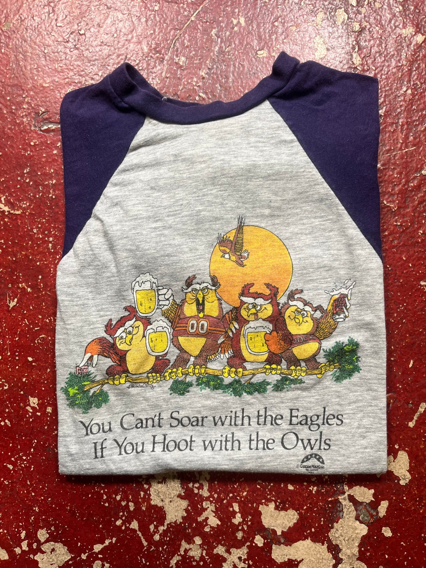 1980 Hoot With The Owls Tee