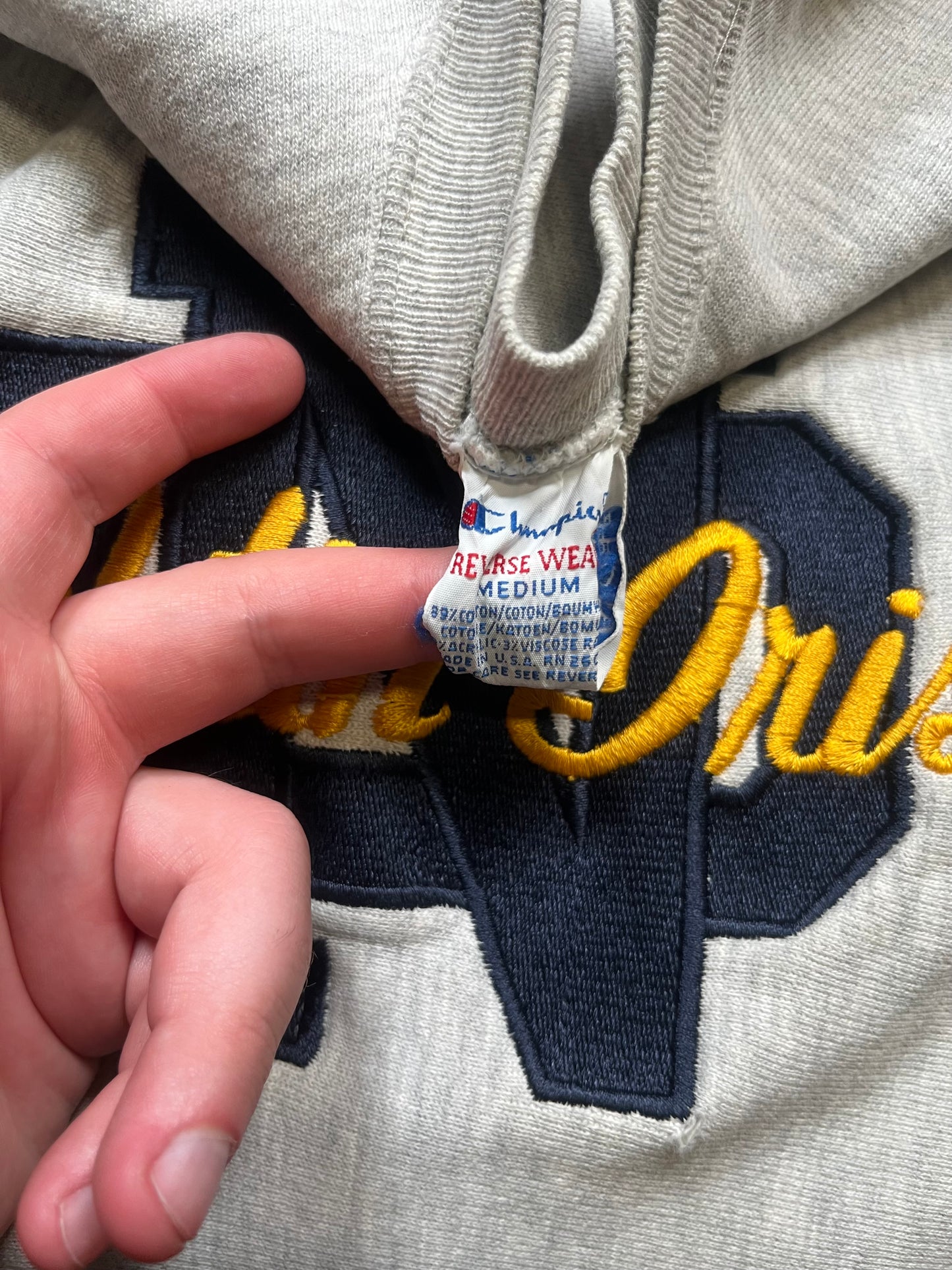 90s Champion Reverse Weave Norte Dame Crewneck