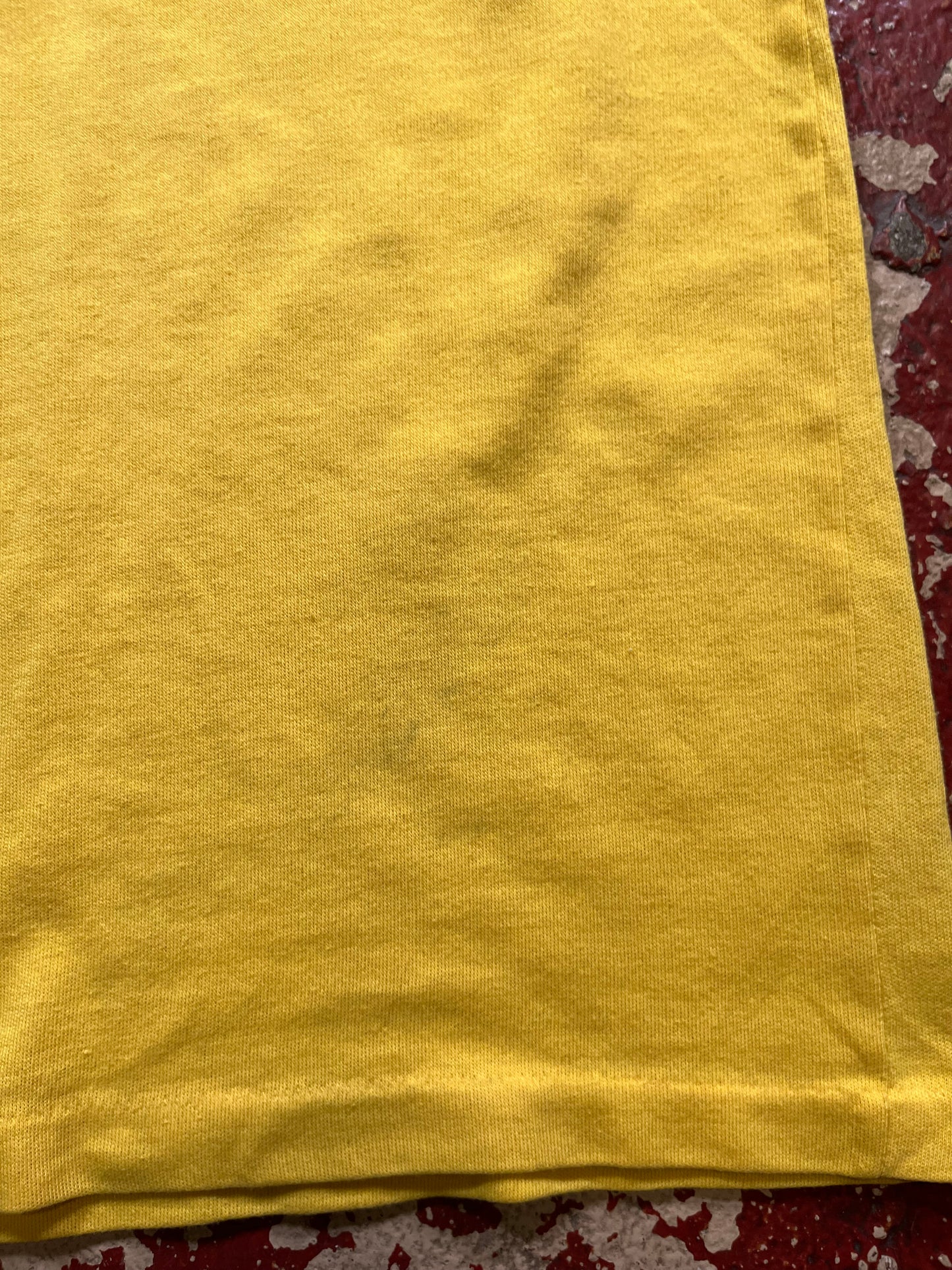 70s/80s Wakeboarding Stitched Tee