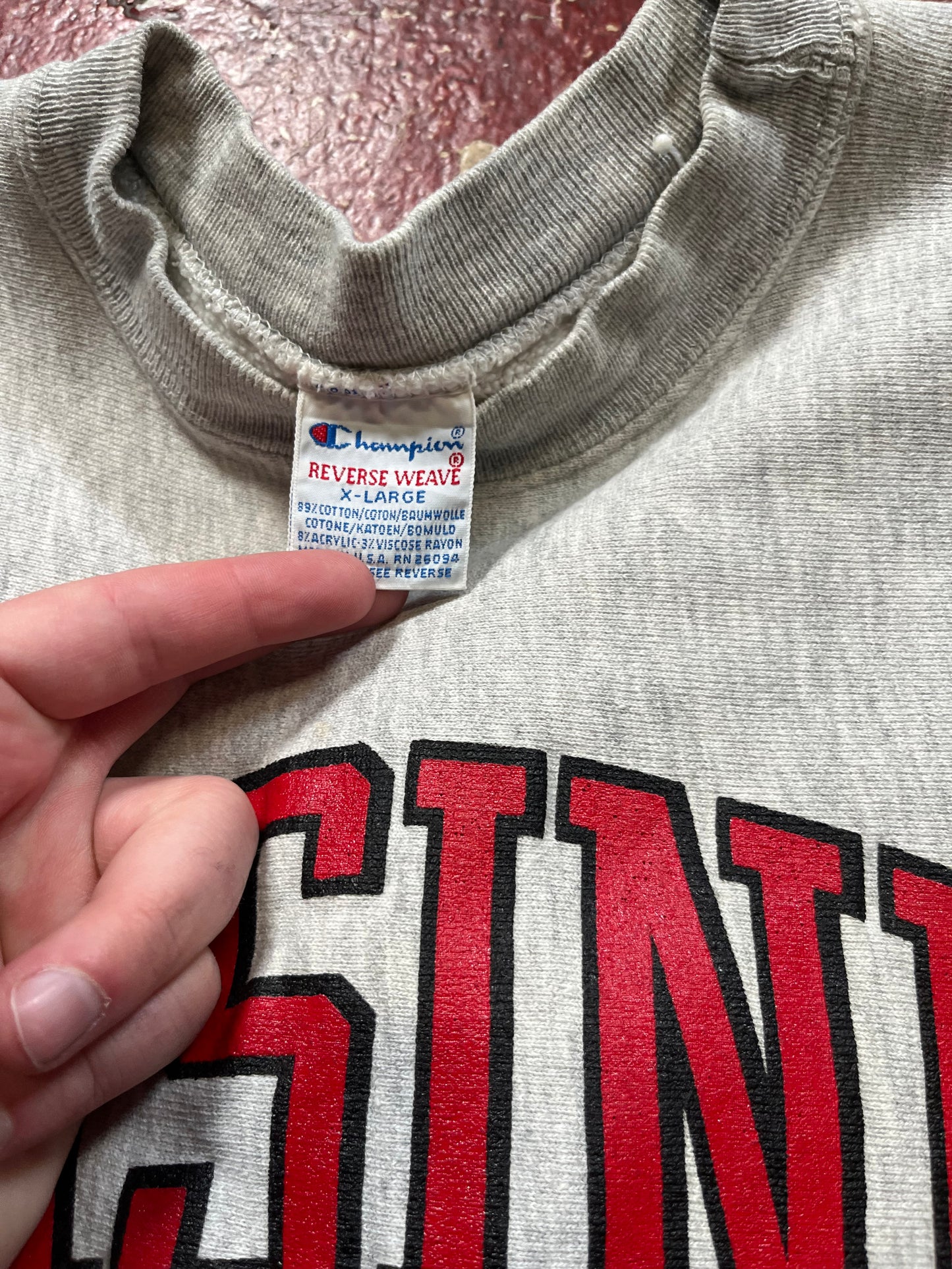 90s Champion Reverse Weave Ursinus Crewneck