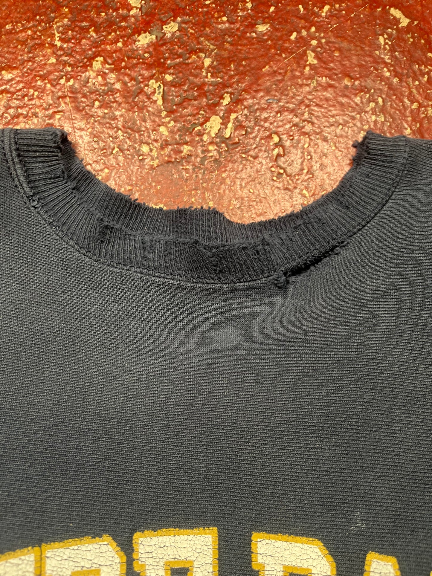 90s Champion Reverse Weave Norte Dame Football Crewneck