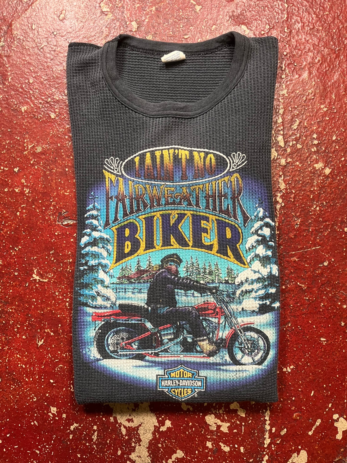80s/90s Harley Davidson “Fairweather Biker” Thermal