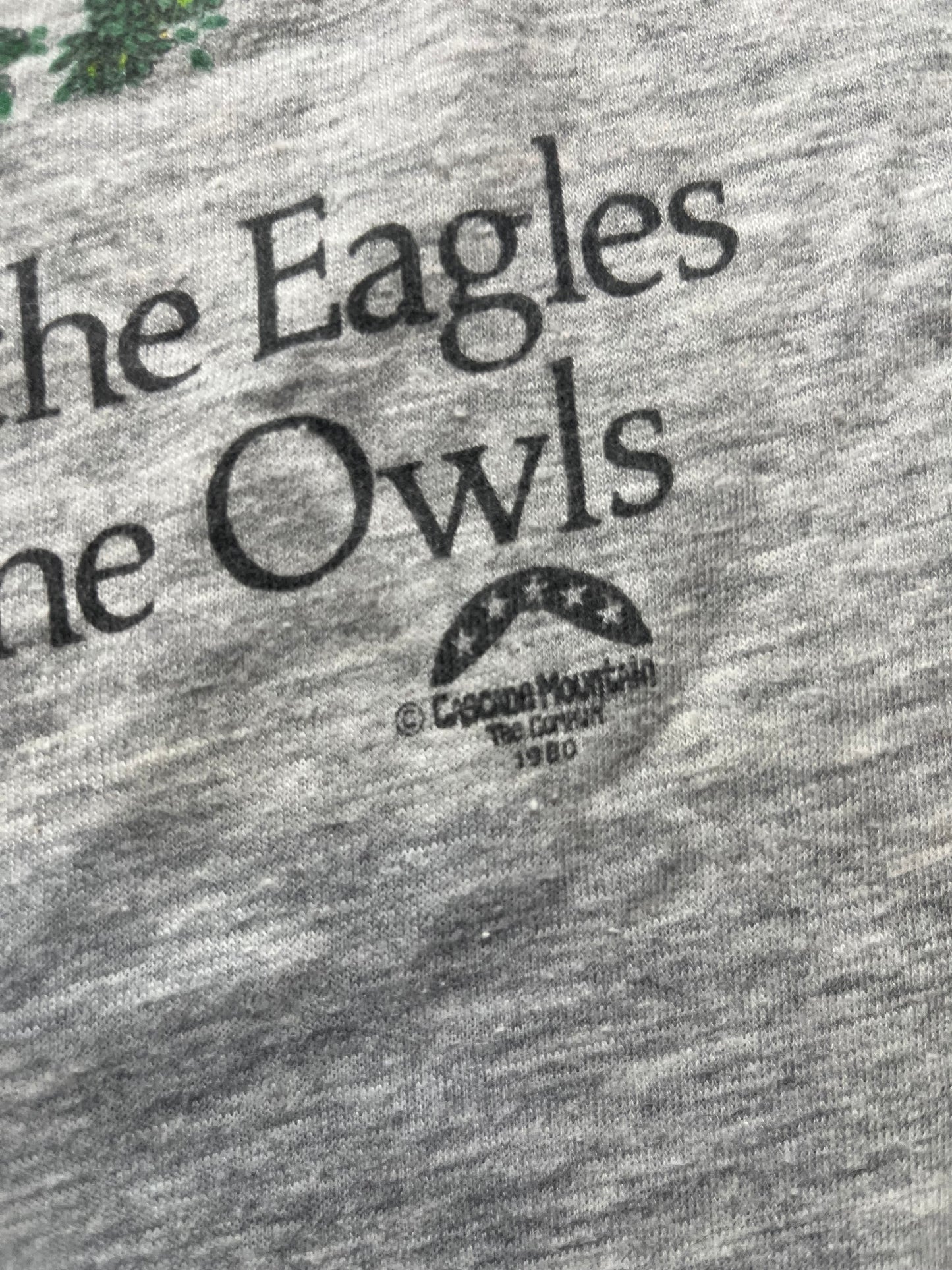 1980 Hoot With The Owls Tee