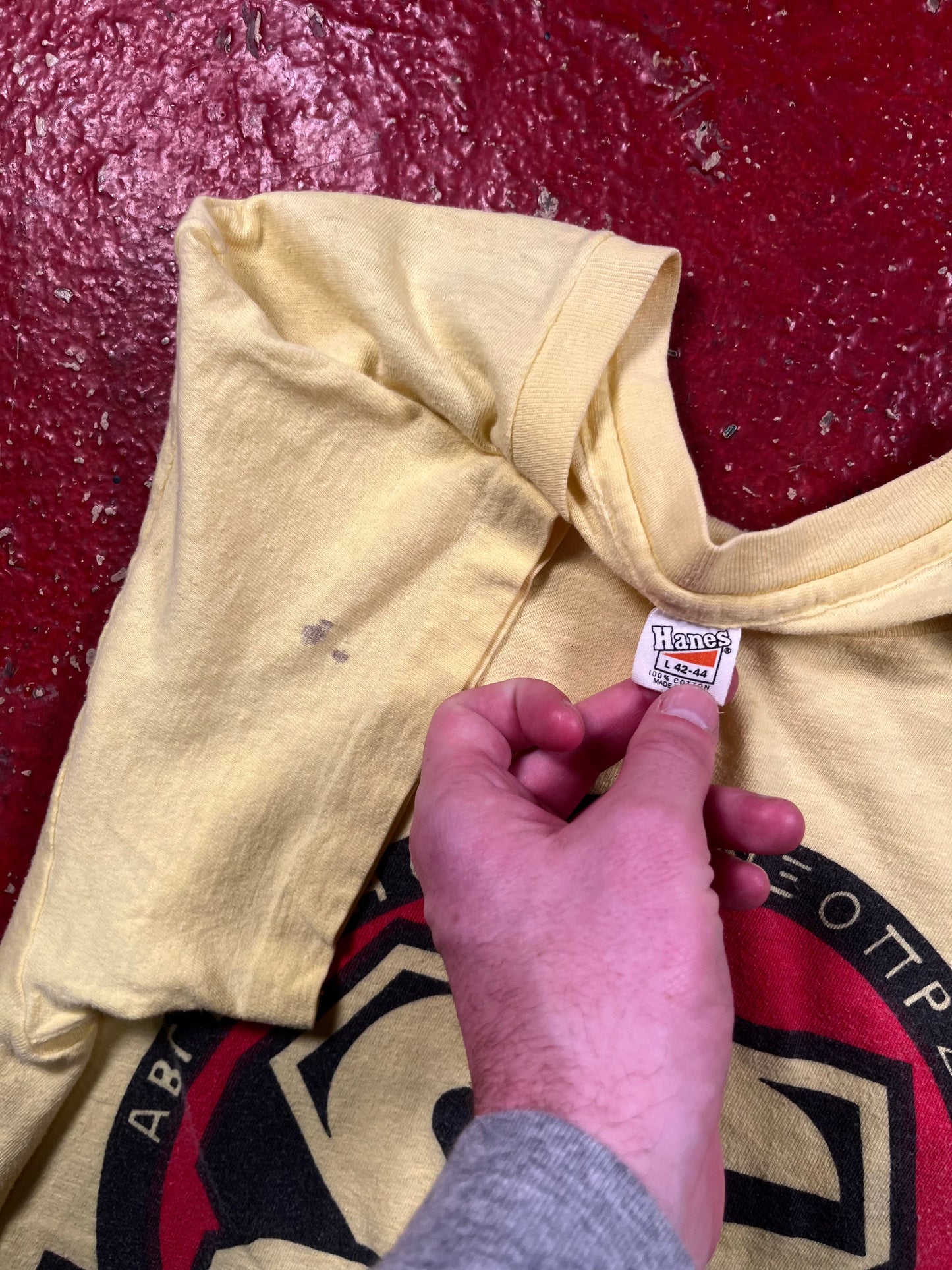 1979 University Of Idaho Greek Week Tee