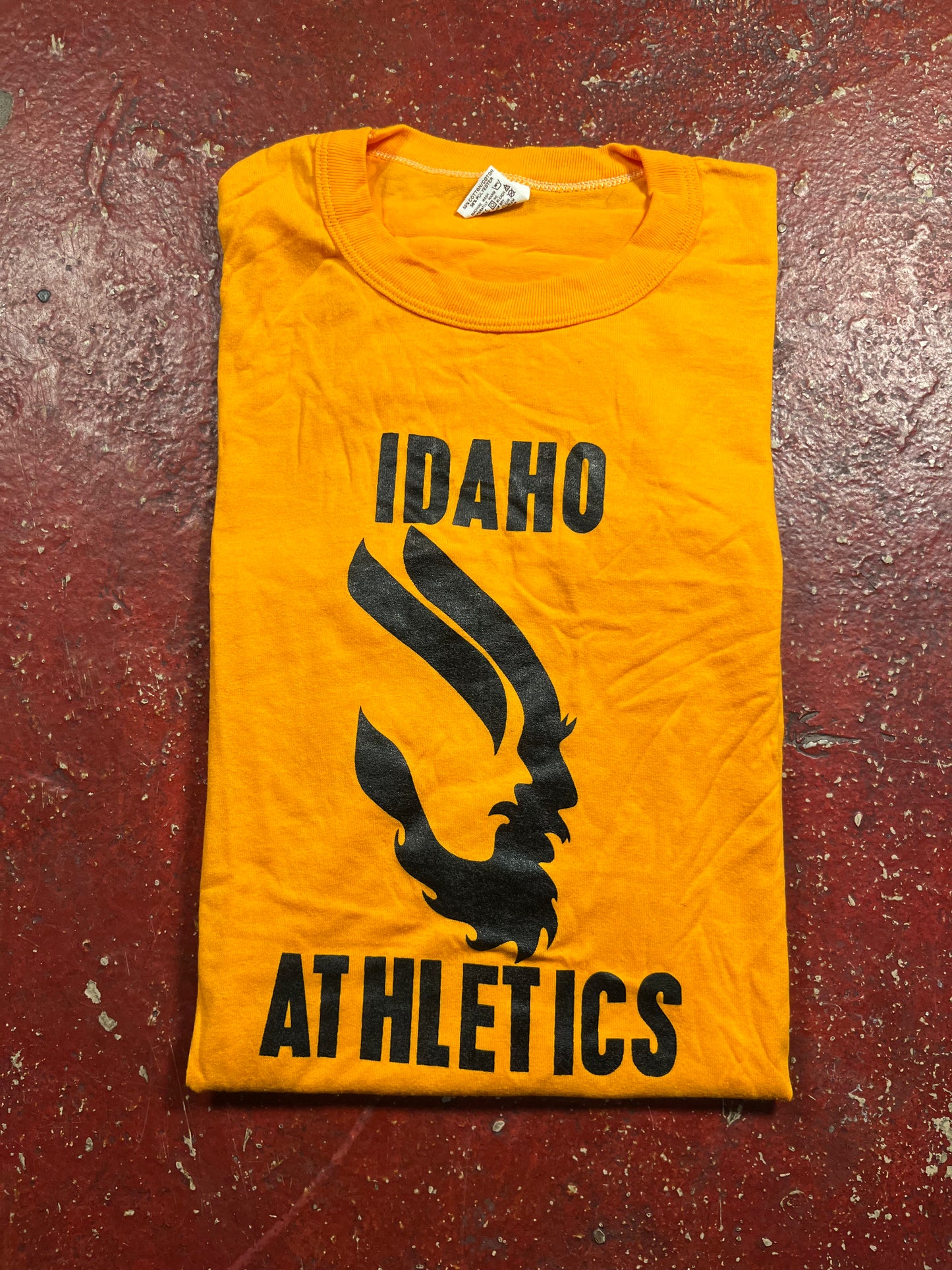 70s University Of Idaho Athletics Tee