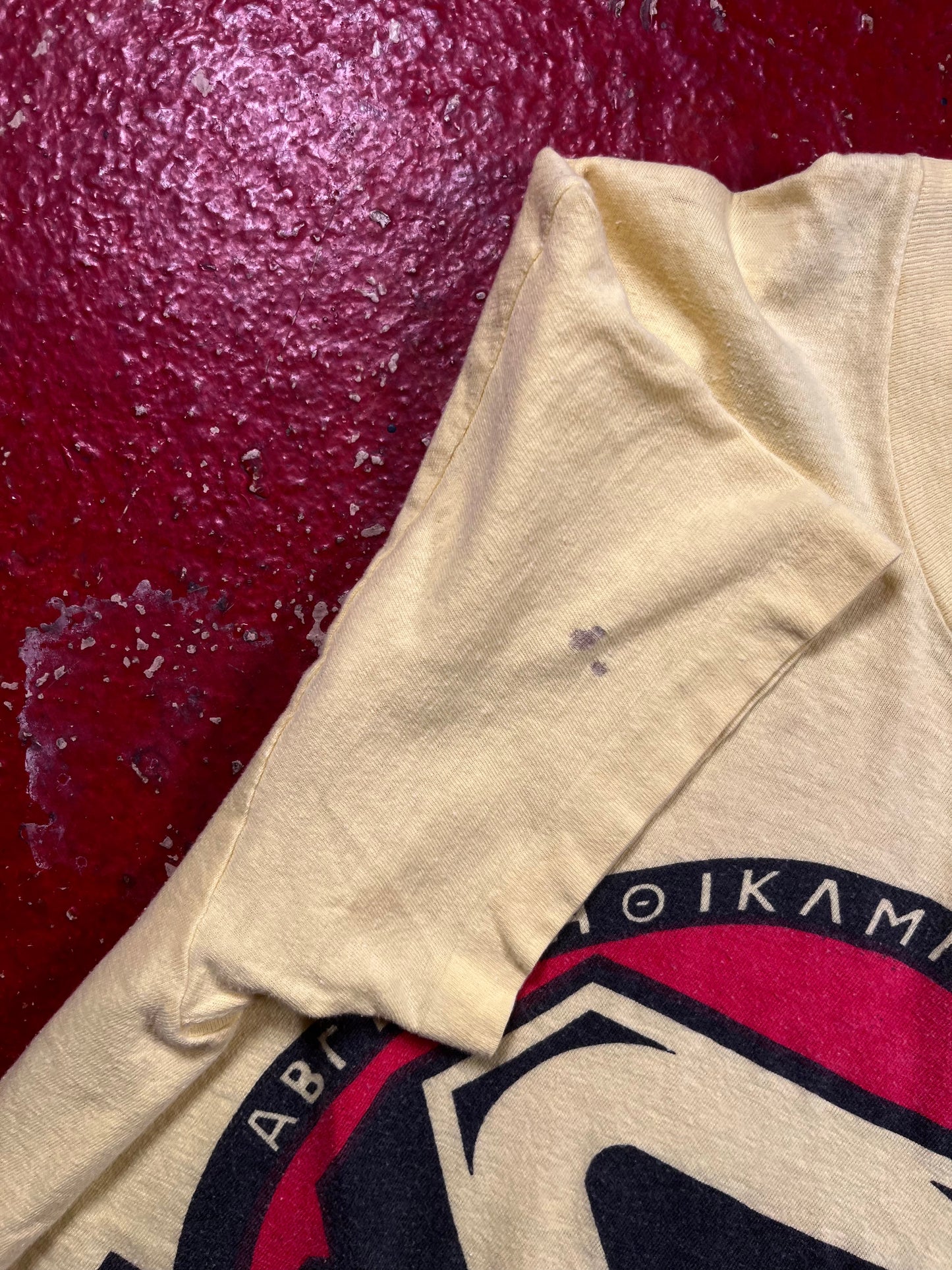 1979 University Of Idaho Greek Week Tee