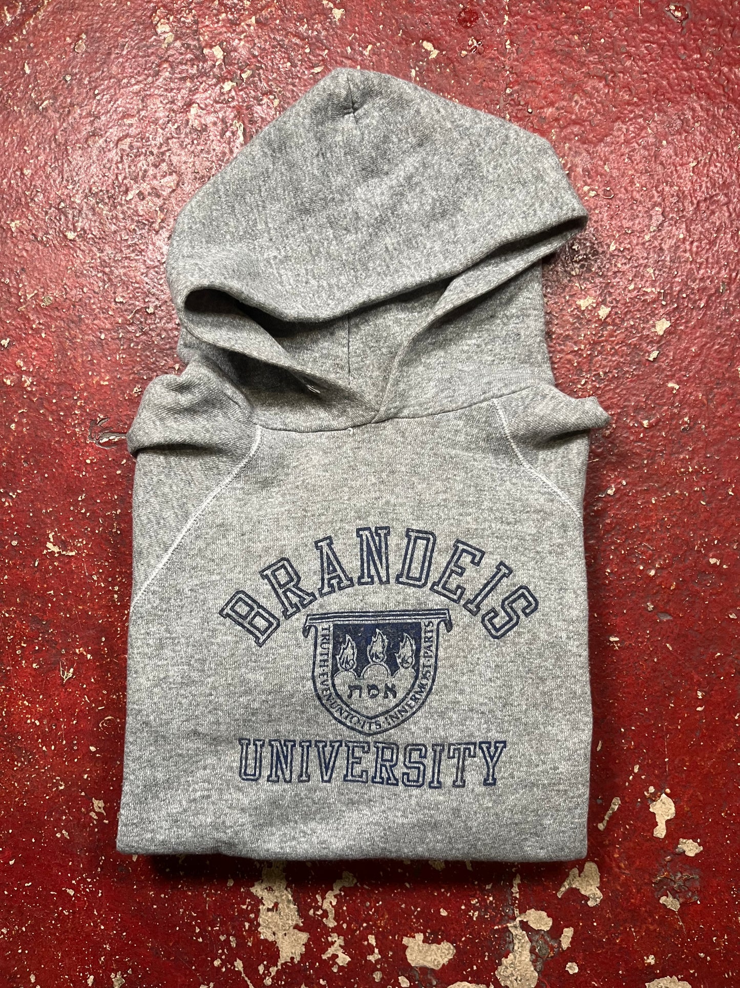 80s Brandeis University Hoodie