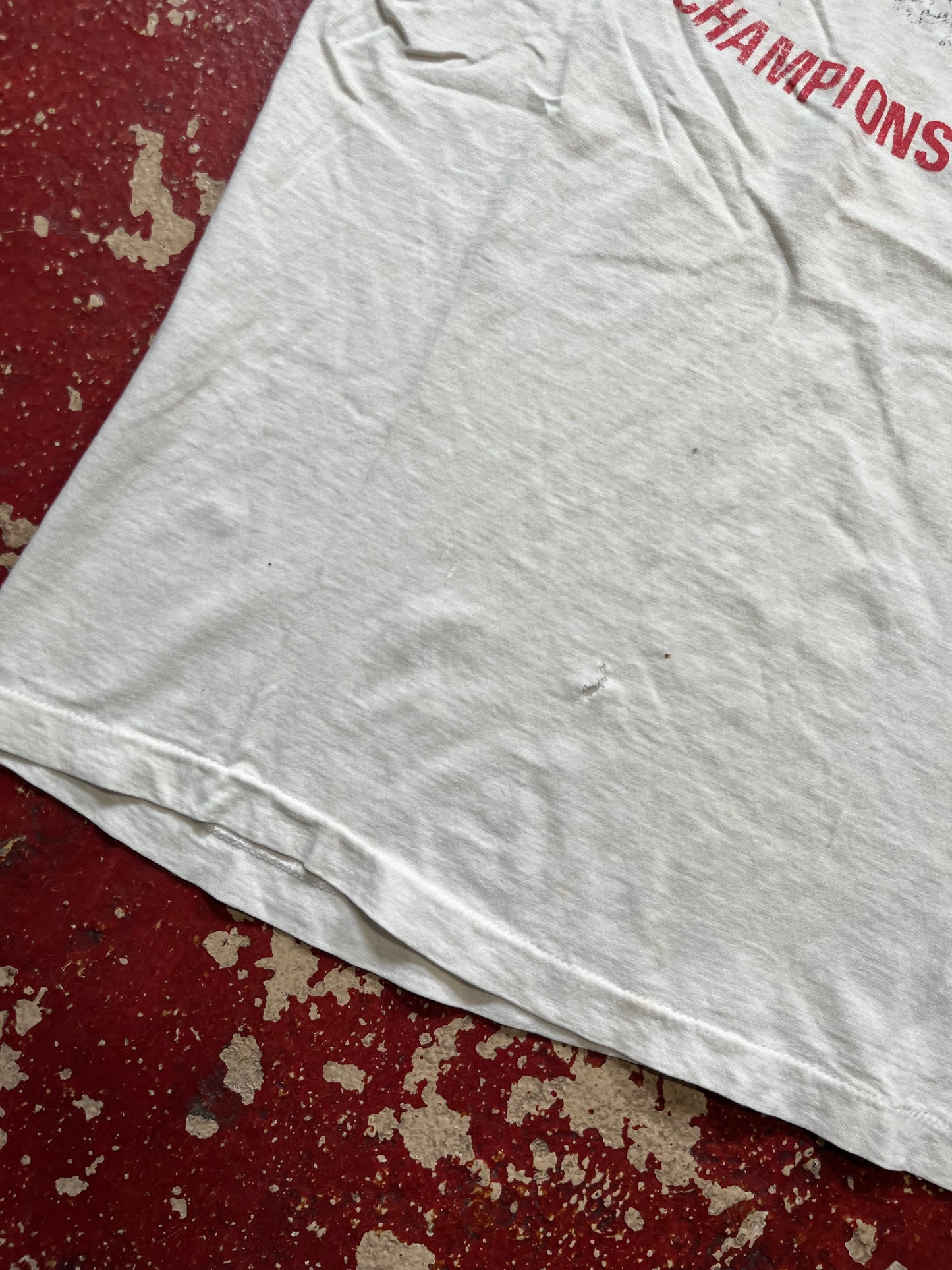 70s/80s Southern Section Swimming Ringer Tee