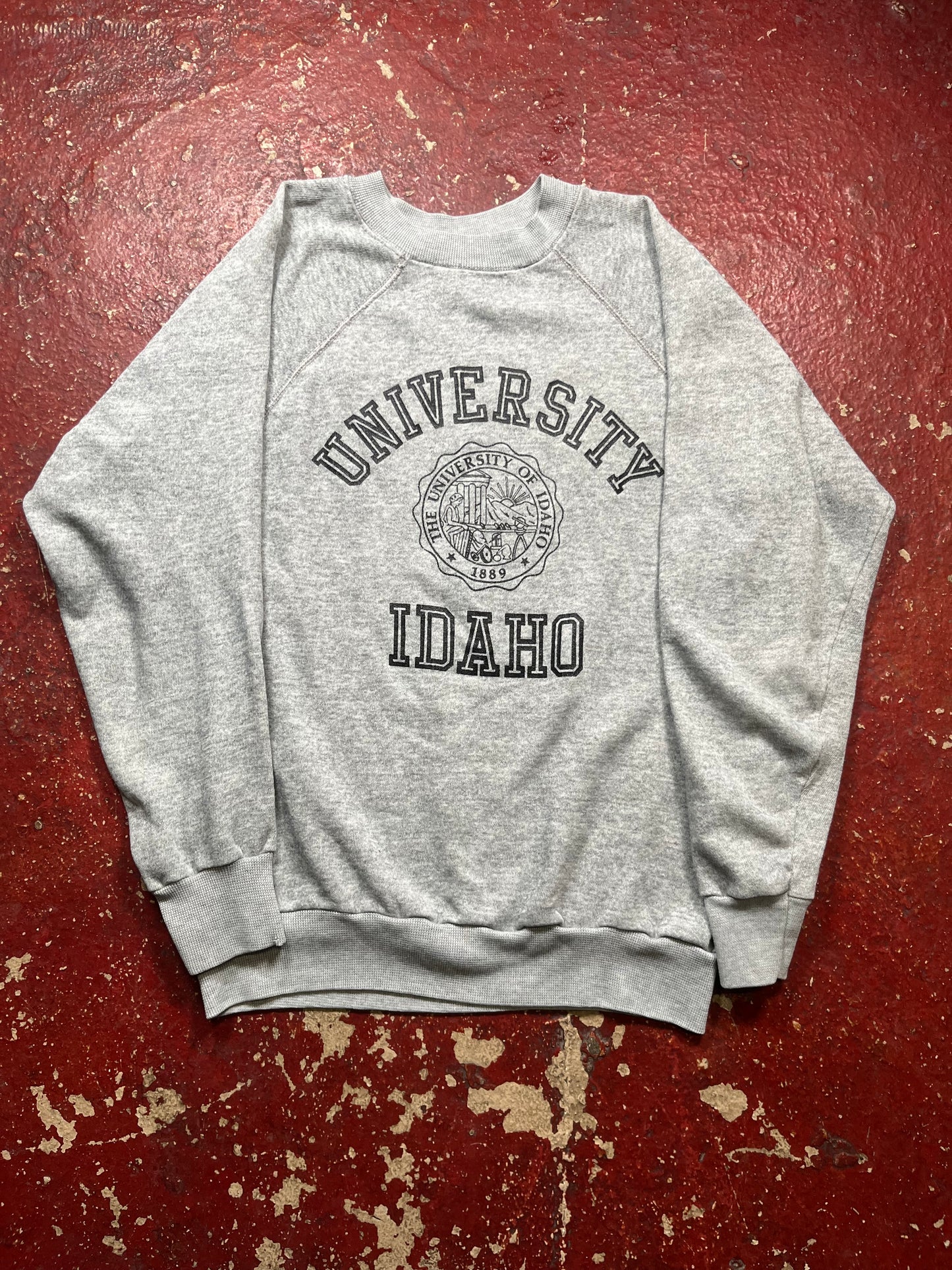 70s/80s University Of Idaho Sweater