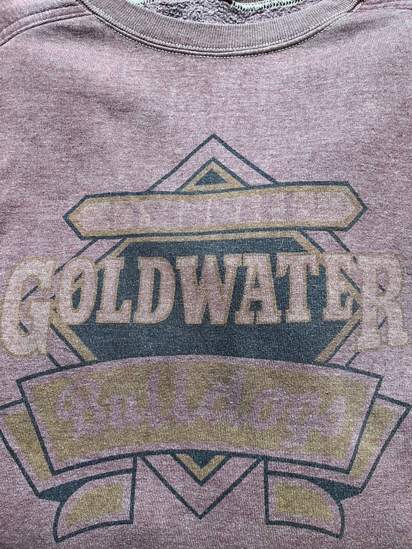 80s Champion Goldwater Crewneck