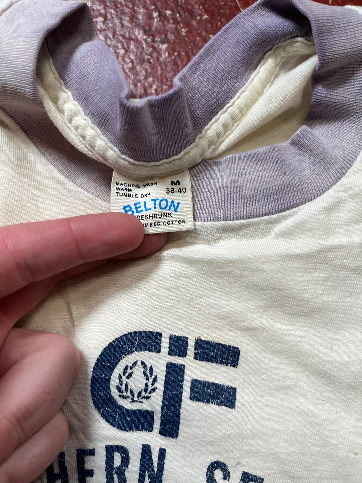 70s/80s Southern Section Swimming Ringer Tee