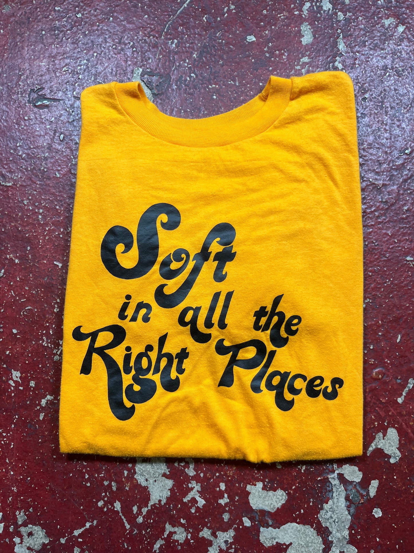 70s/80s Soft In The Right Places Tee