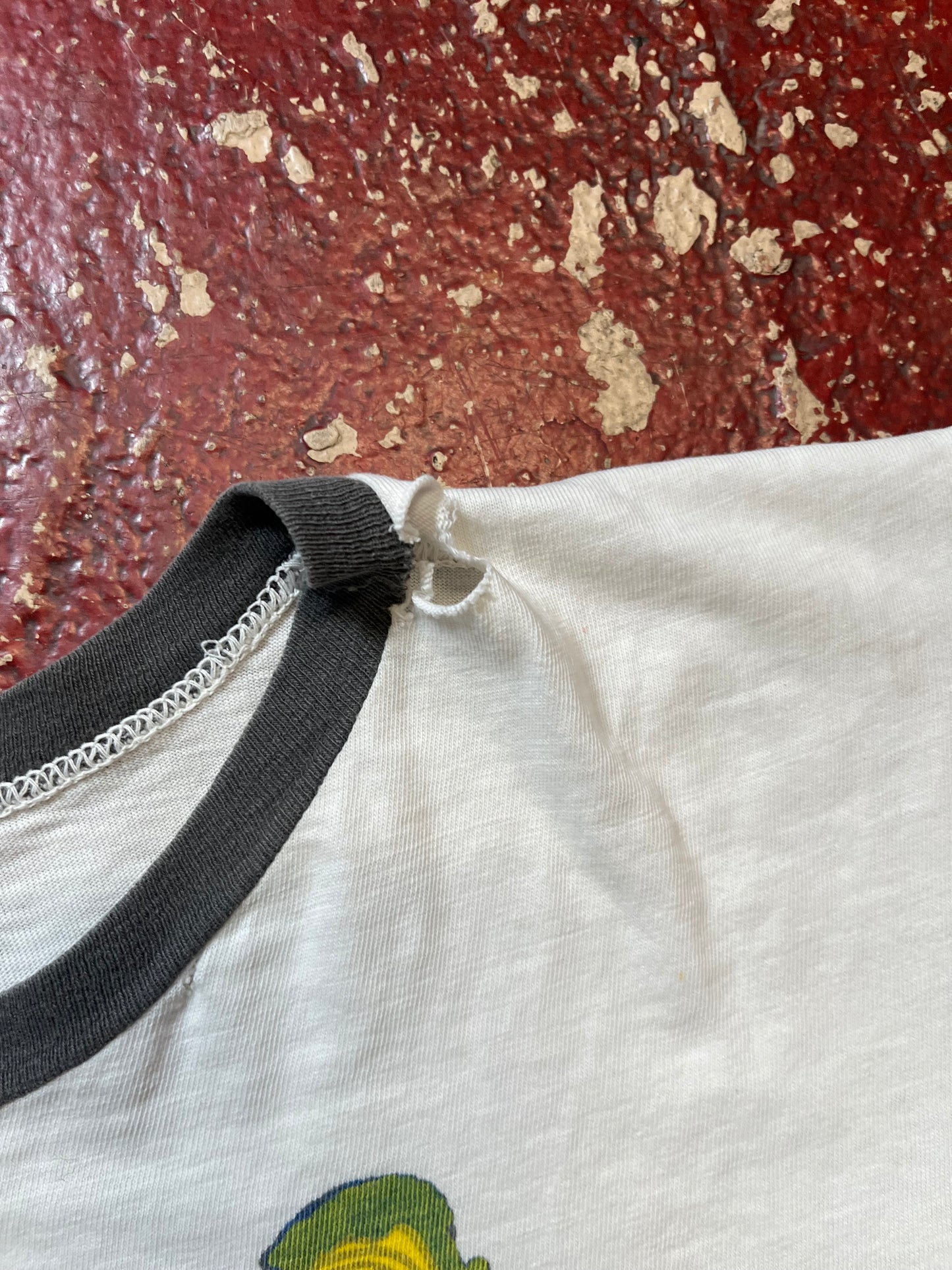 70s Champion Big Ten Ringer Tee