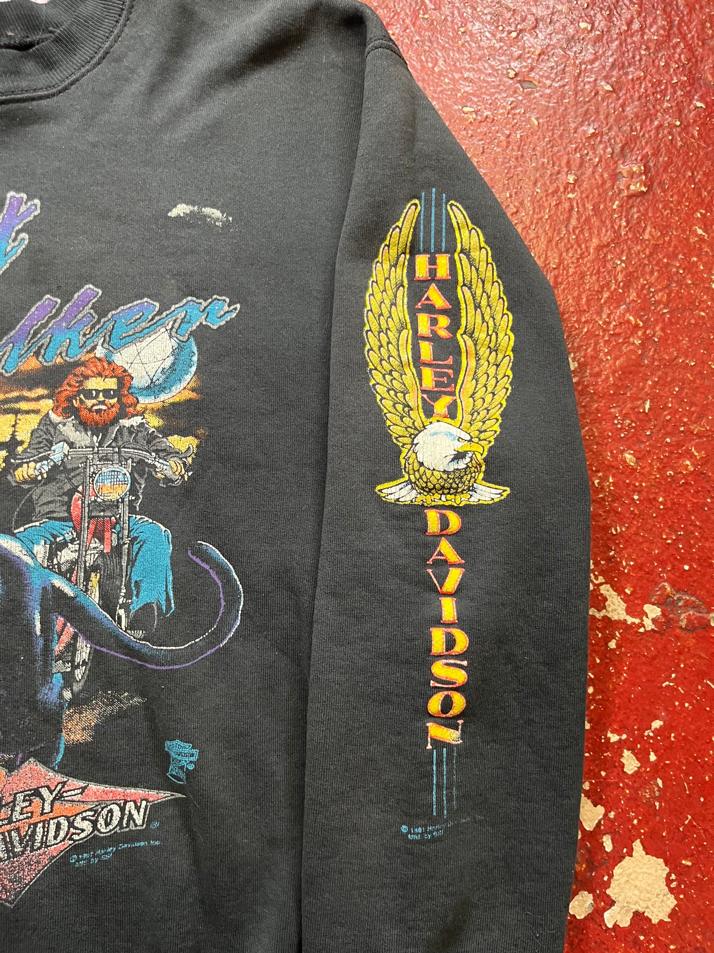 80s/90s Harley Davidson “Night Stalker” Crewneck