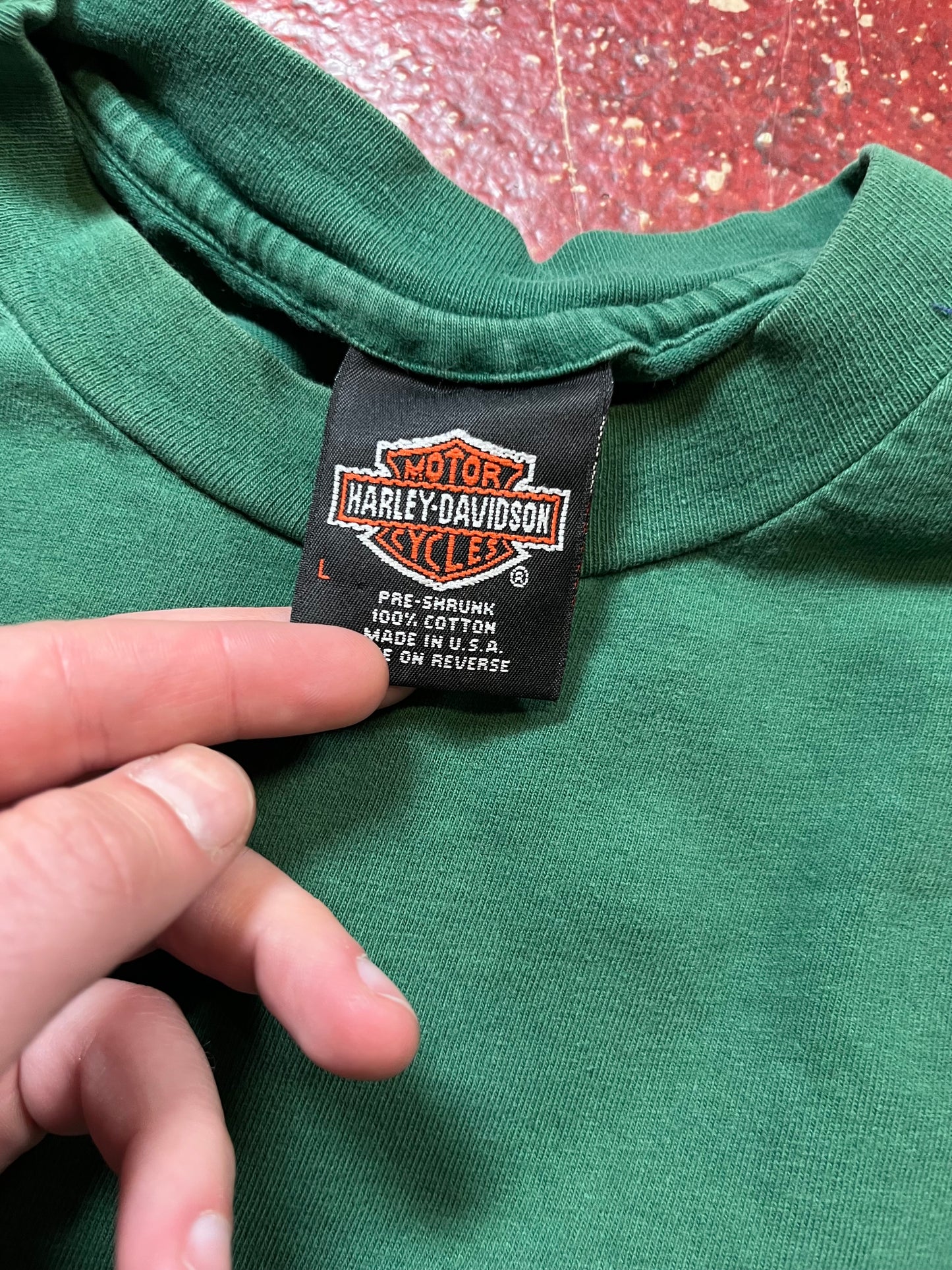 90s Harley Davidson AOP “Green River” Tee
