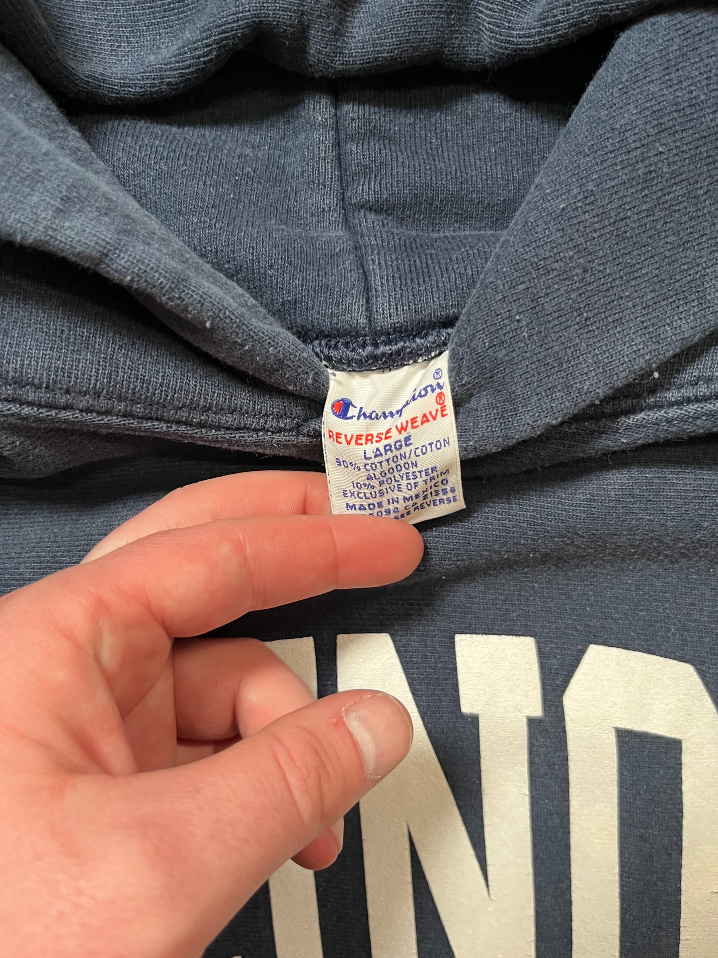 90s Champion Reverse Weave Illinois Hoodie