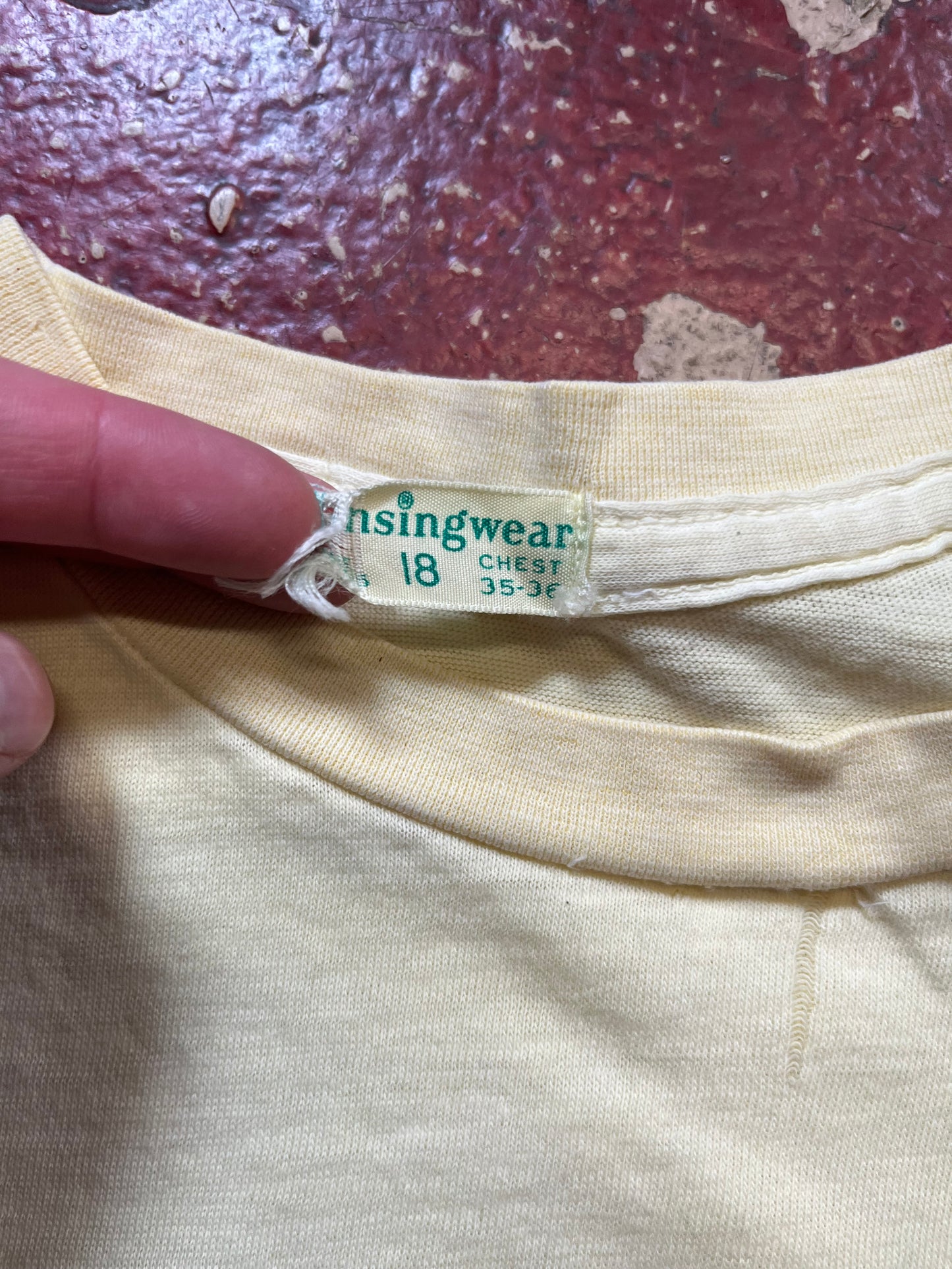 60s/70s Munsingwear Tee