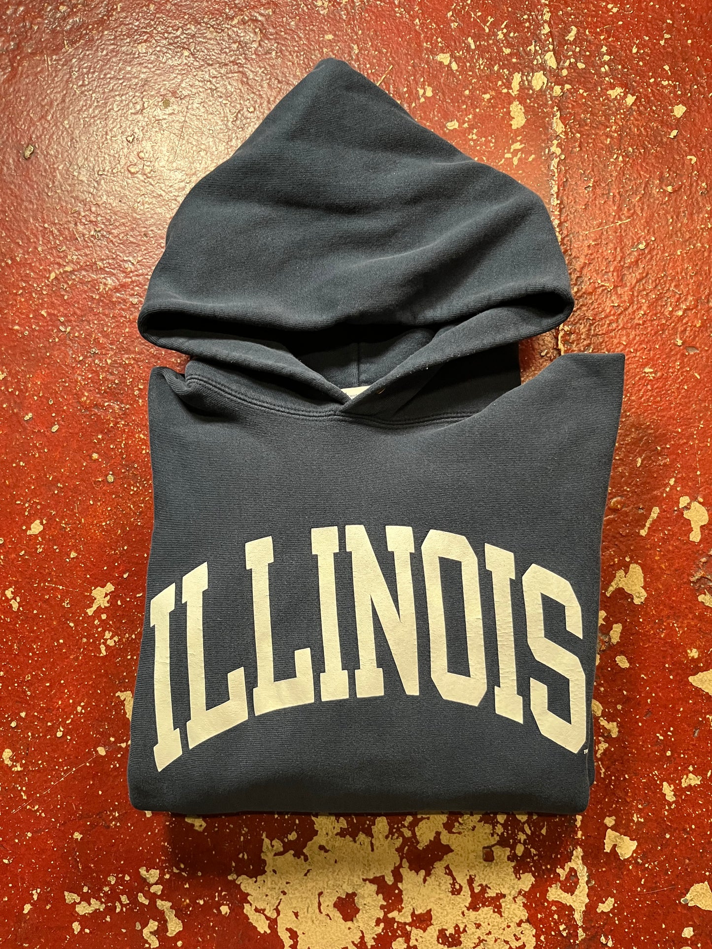 90s Champion Reverse Weave Illinois Hoodie