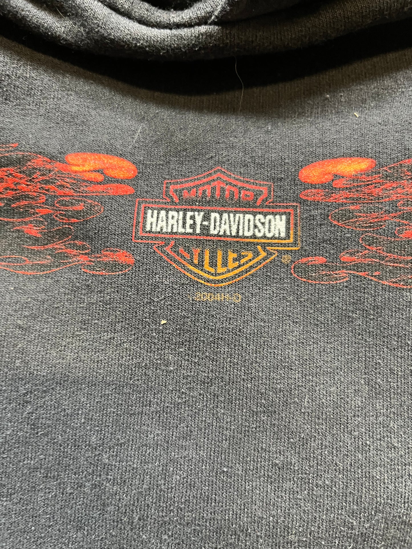 2004 Harley Davidson Hollingsworth Flames Hoodie