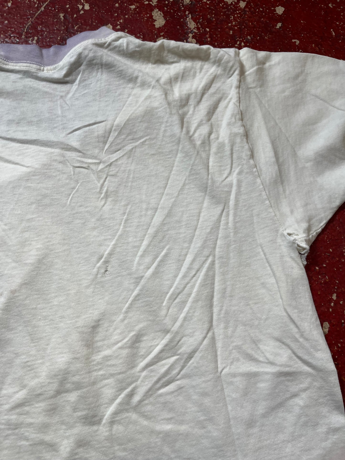 70s/80s Southern Section Swimming Ringer Tee