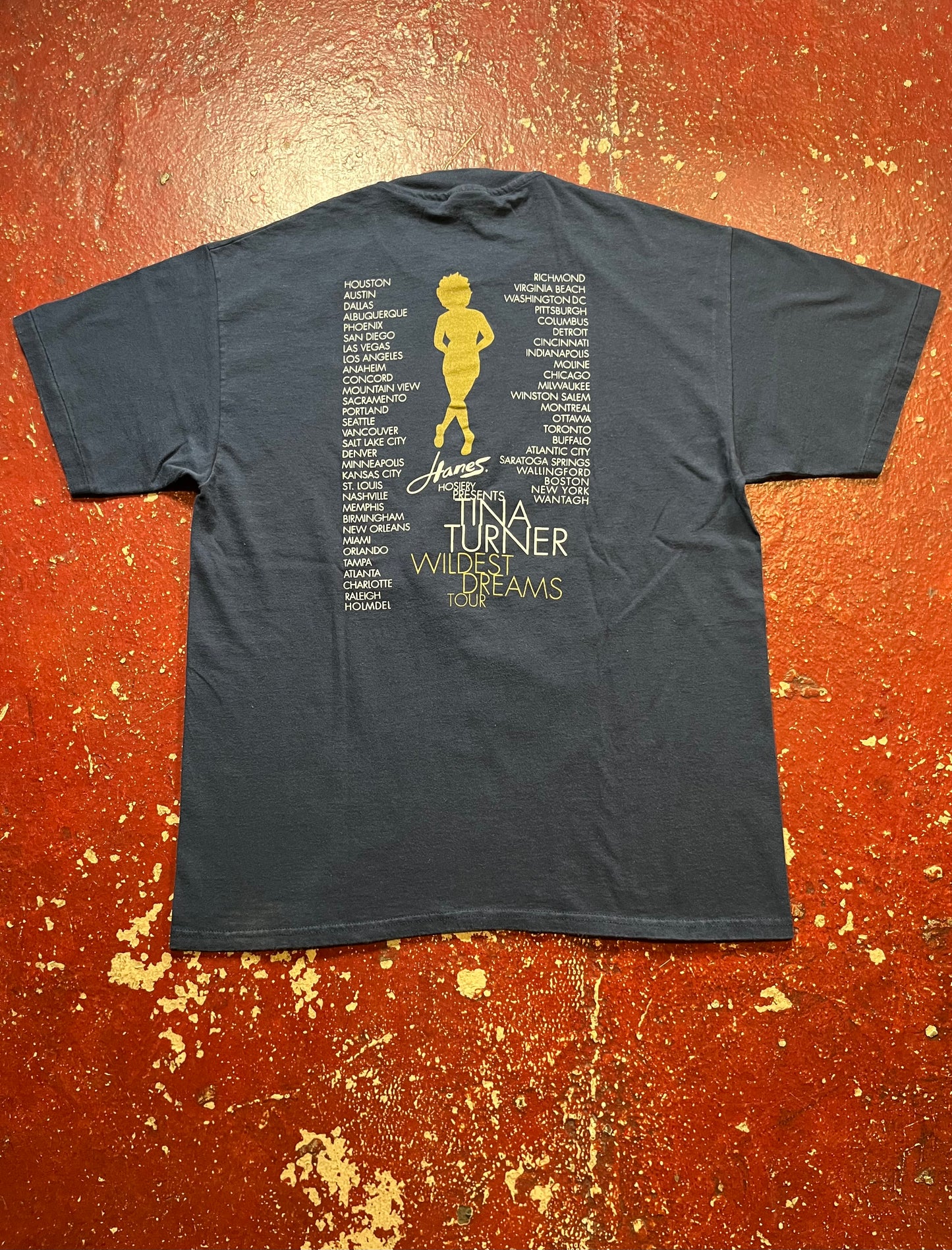 90s Tina Turner “Wildest Dreams” Tee