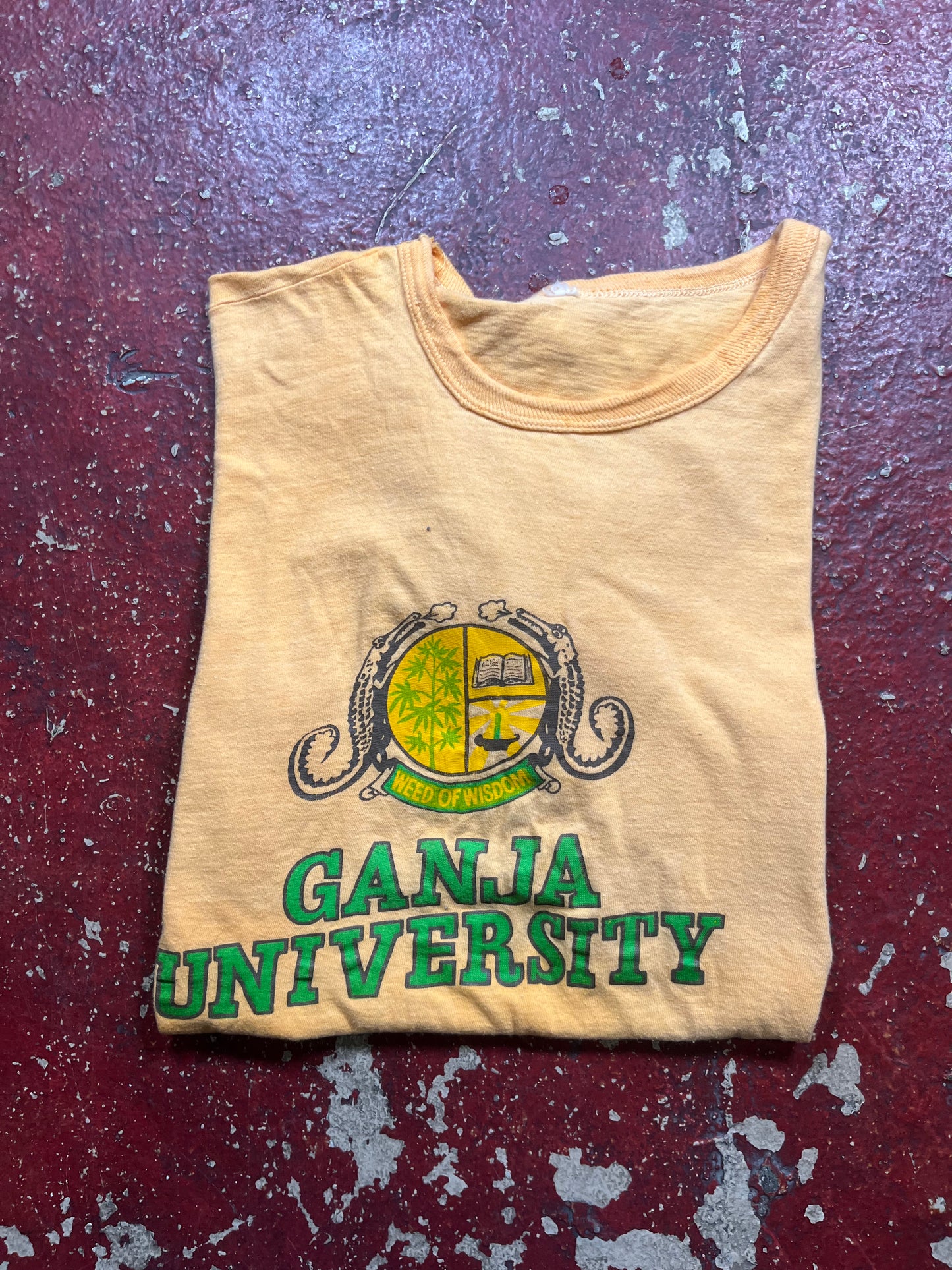 70s Ganja University Tee
