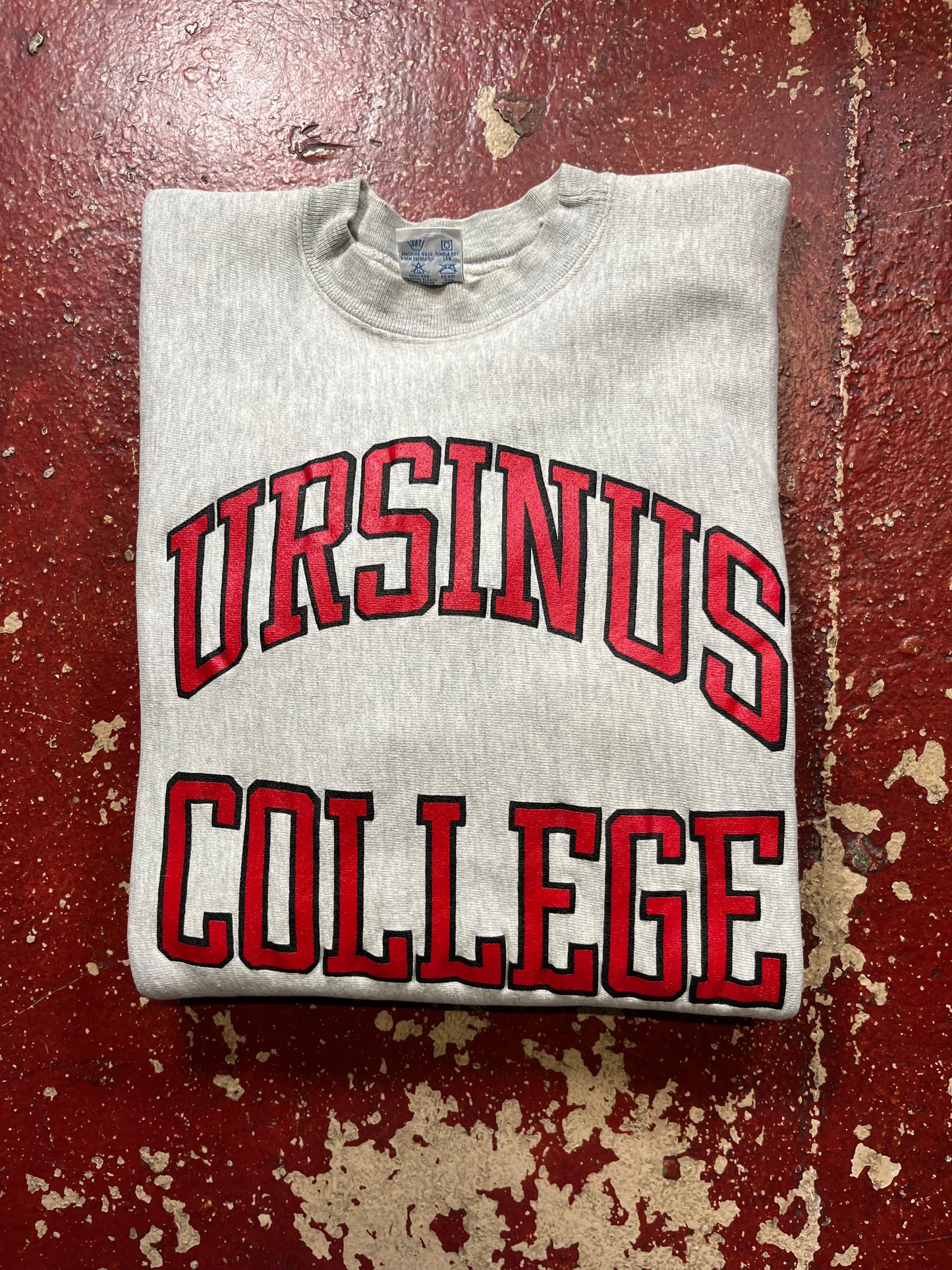 90s Champion Reverse Weave Ursinus Crewneck