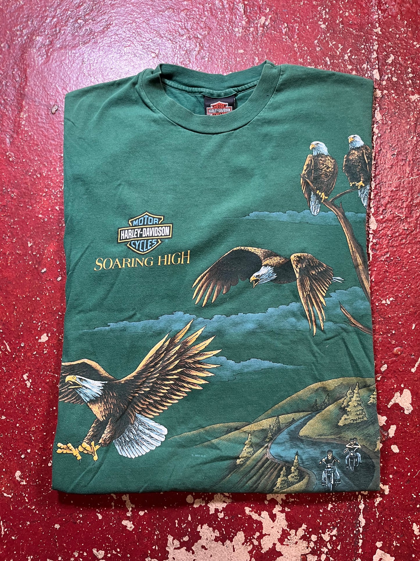90s Harley Davidson AOP “Green River” Tee