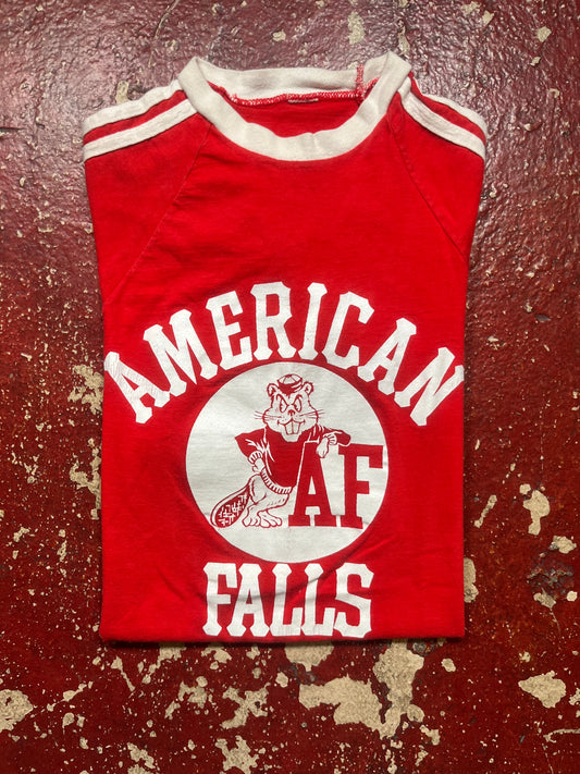 70s/80s American Falls Tee