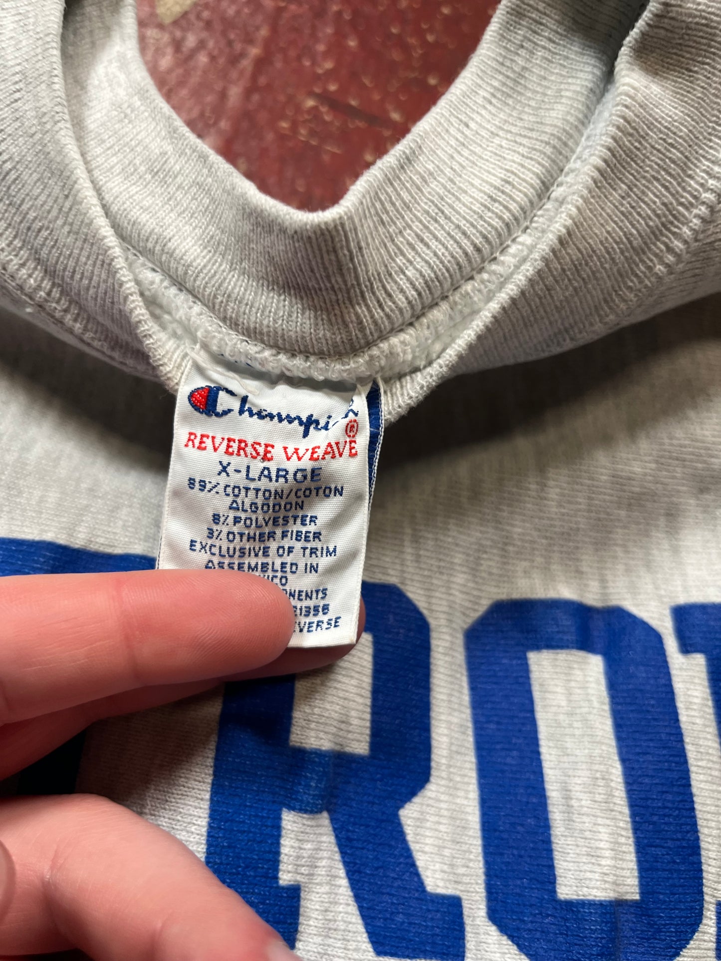 90s Champion Reverse Weave Detroit Lions Crewneck