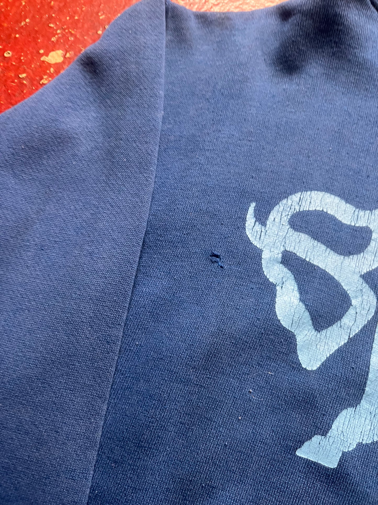 70s Russell Bison Hoodie