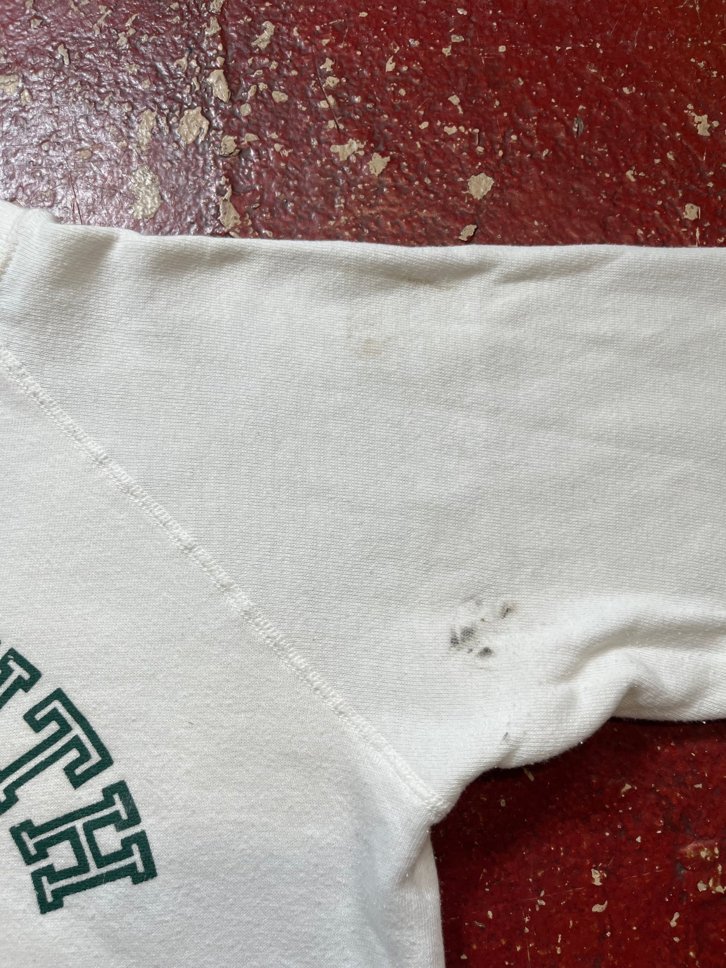 80s Champion Dartmouth Crewneck