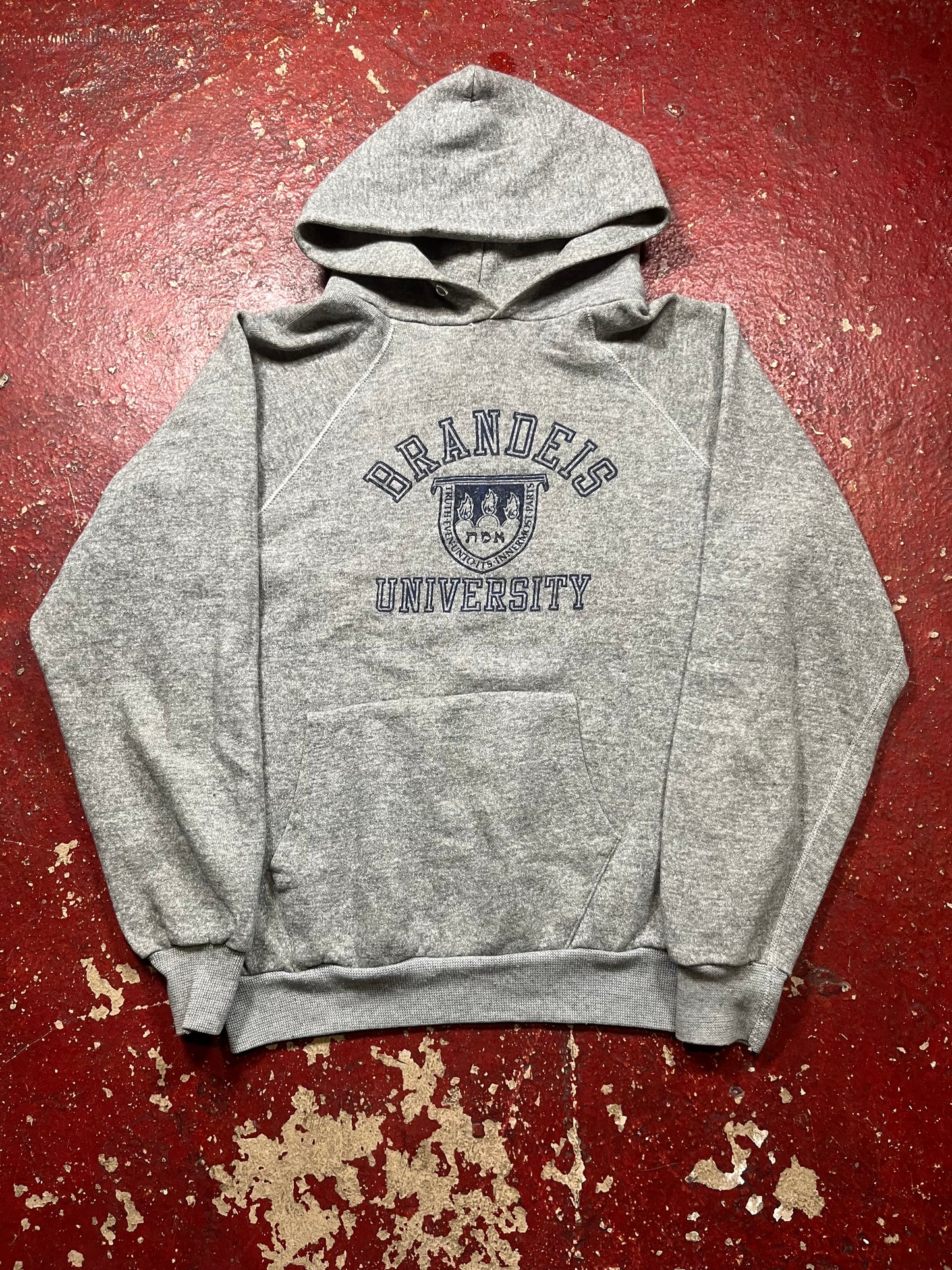 80s Brandeis University Hoodie