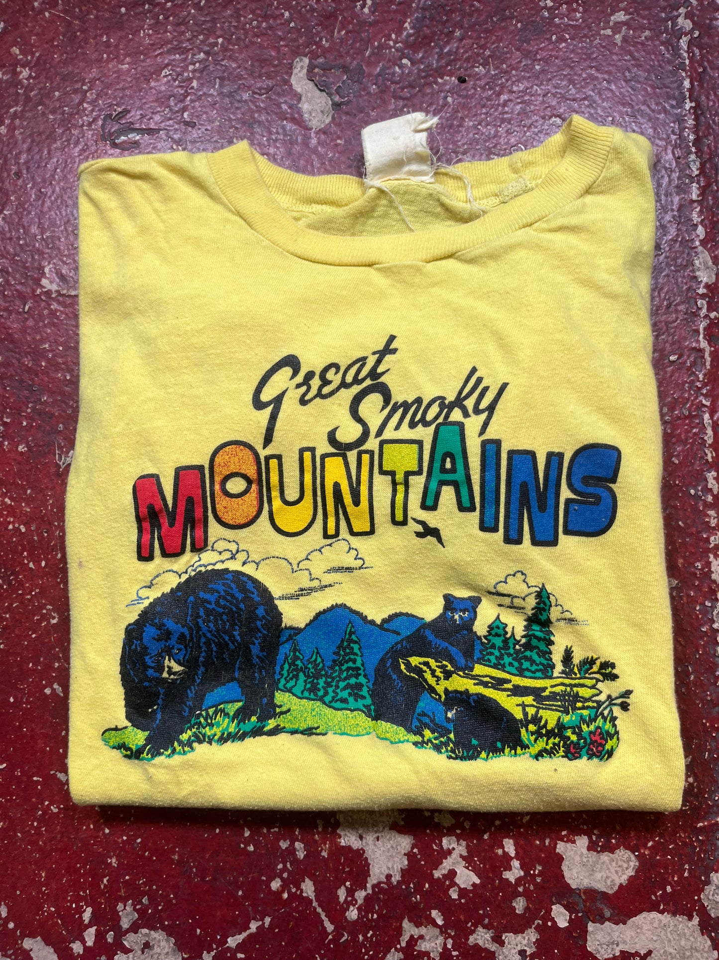 70s Great Smoky Mountains Tee