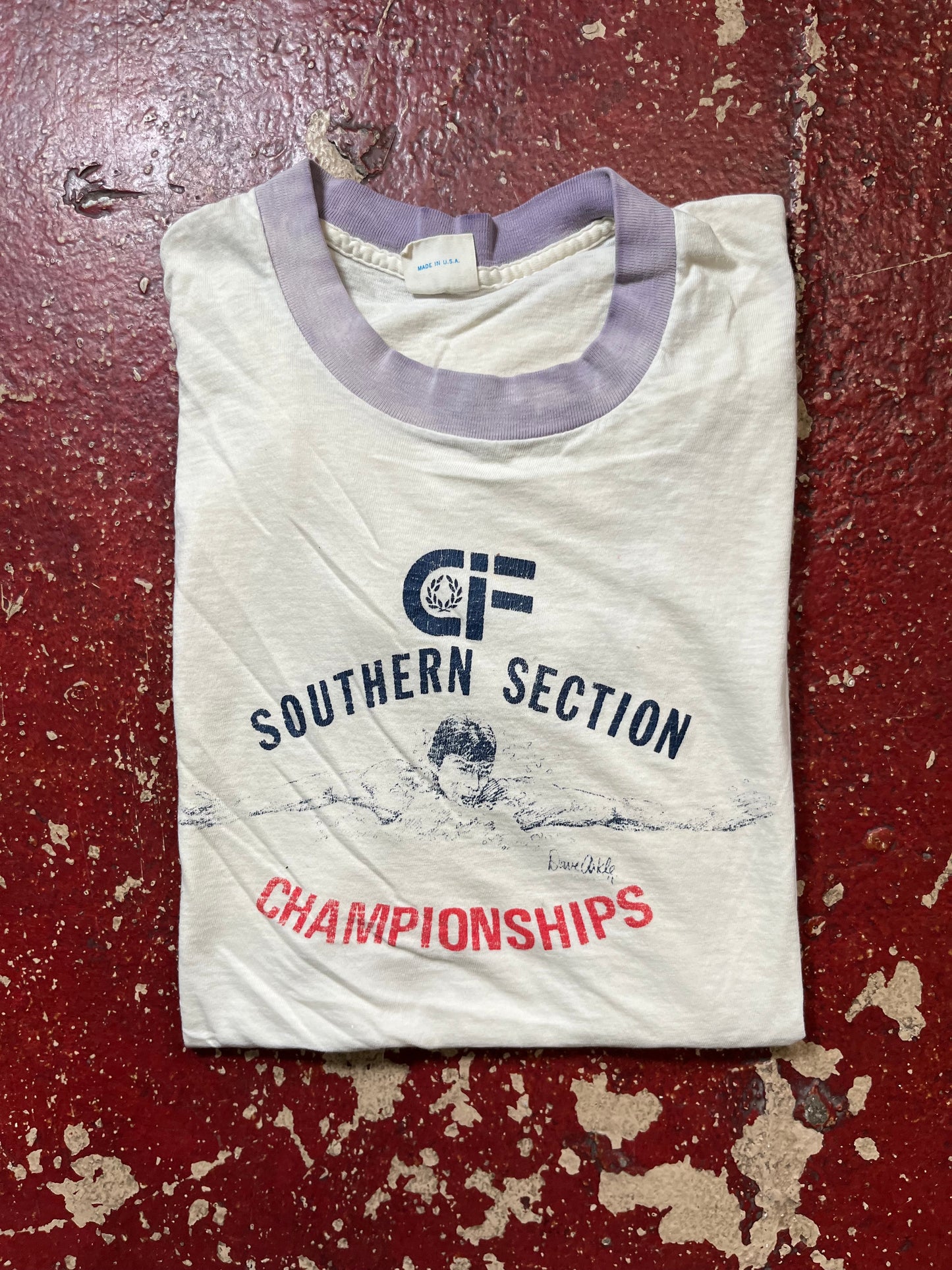 70s/80s Southern Section Swimming Ringer Tee