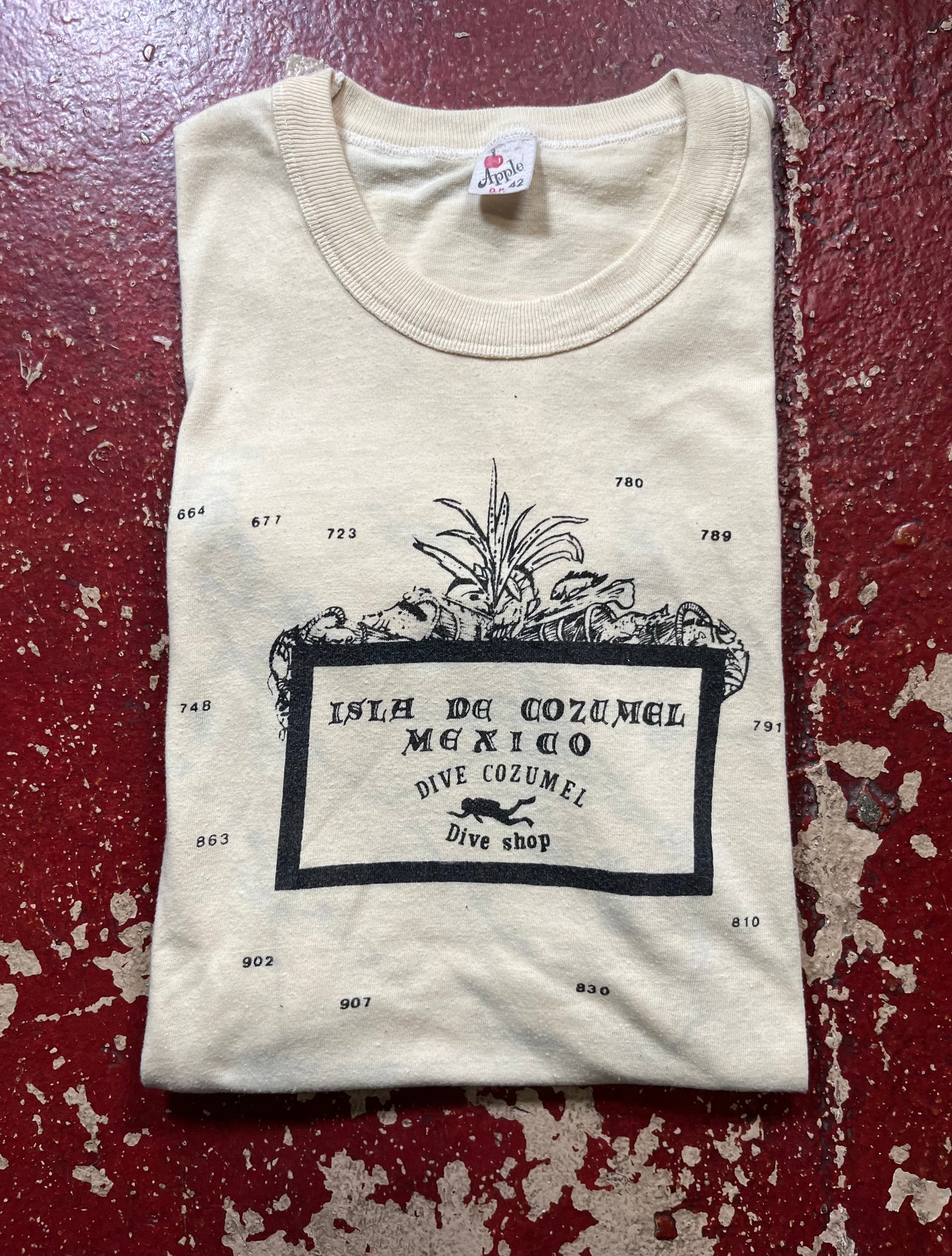 70s/80s Dive Cozumel Mexico Tee