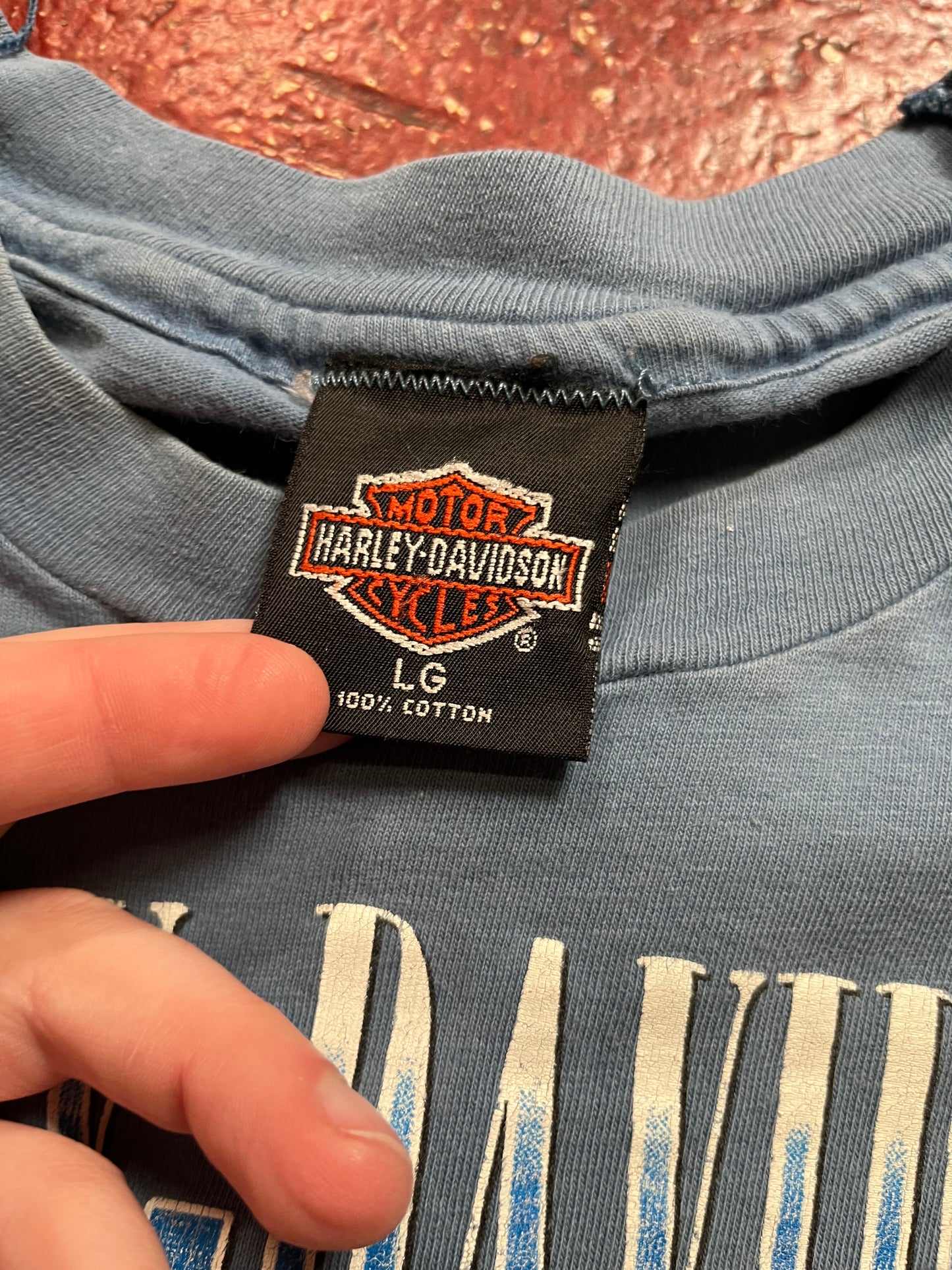 1994 Harley Davidson Taz “Rochester” Tee