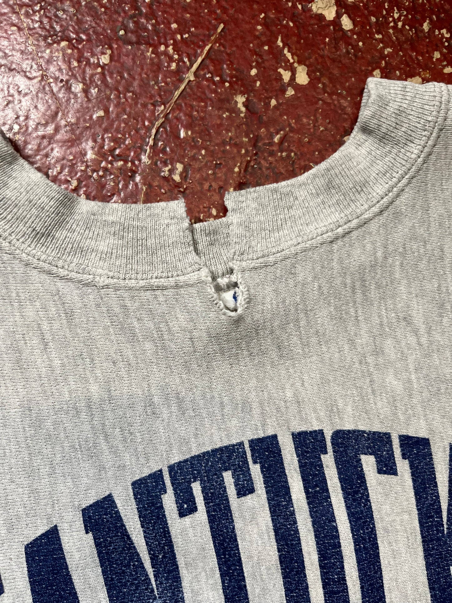 90s Champion Reverse Weave Nantucket Crewneck