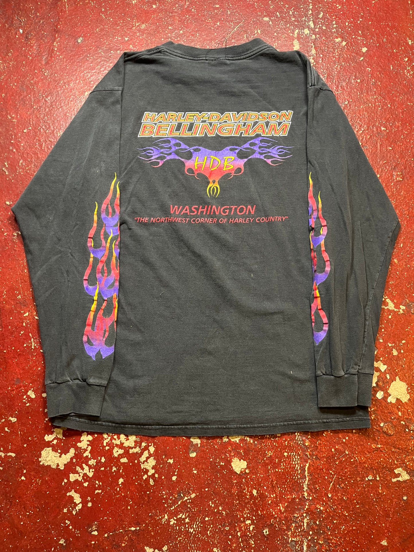 90s Harley Davidson Bellingham Flames Long Sleeve Shirt